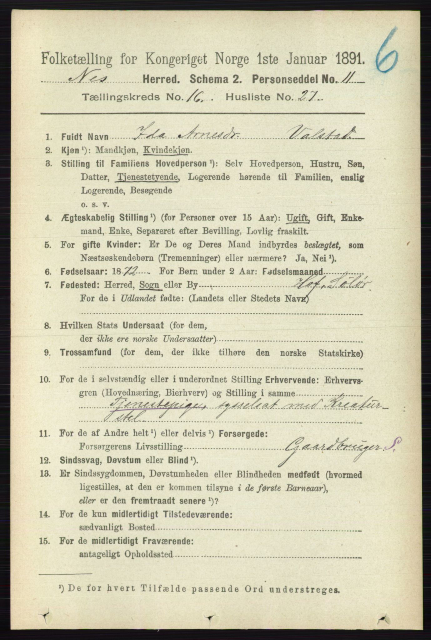 RA, 1891 census for 0236 Nes, 1891, p. 9720