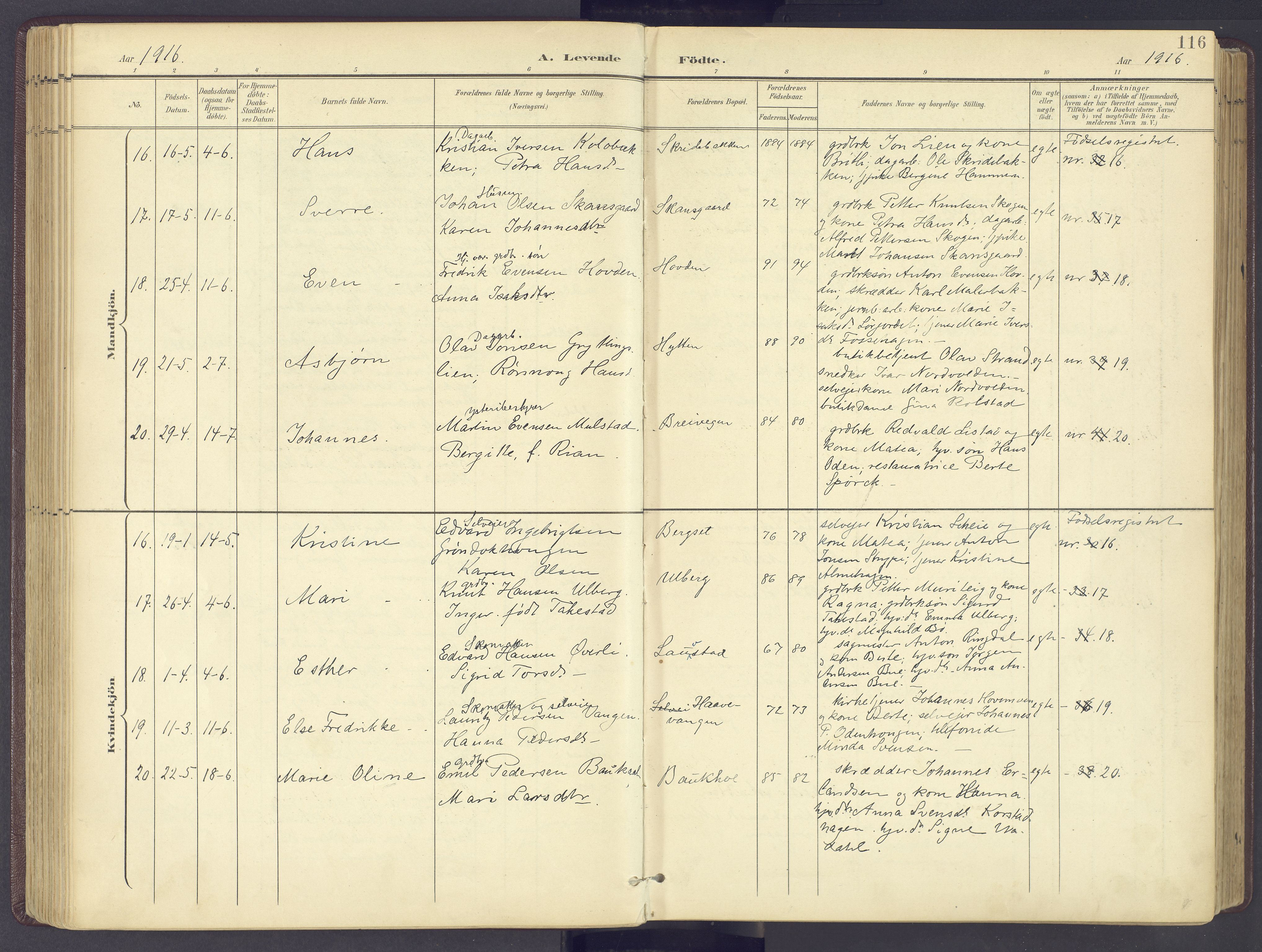 Sør-Fron prestekontor, AV/SAH-PREST-010/H/Ha/Haa/L0004: Parish register (official) no. 4, 1898-1919, p. 116