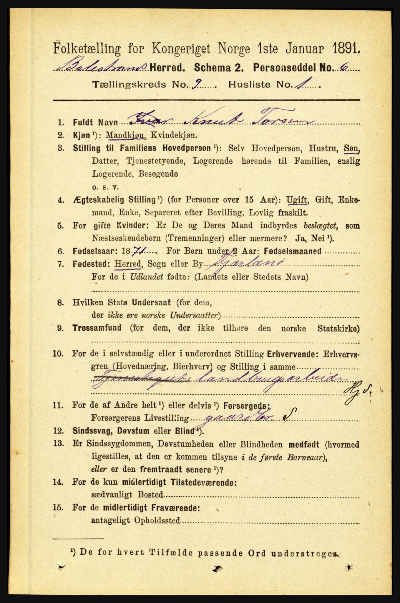 RA, 1891 census for 1418 Balestrand, 1891, p. 2050