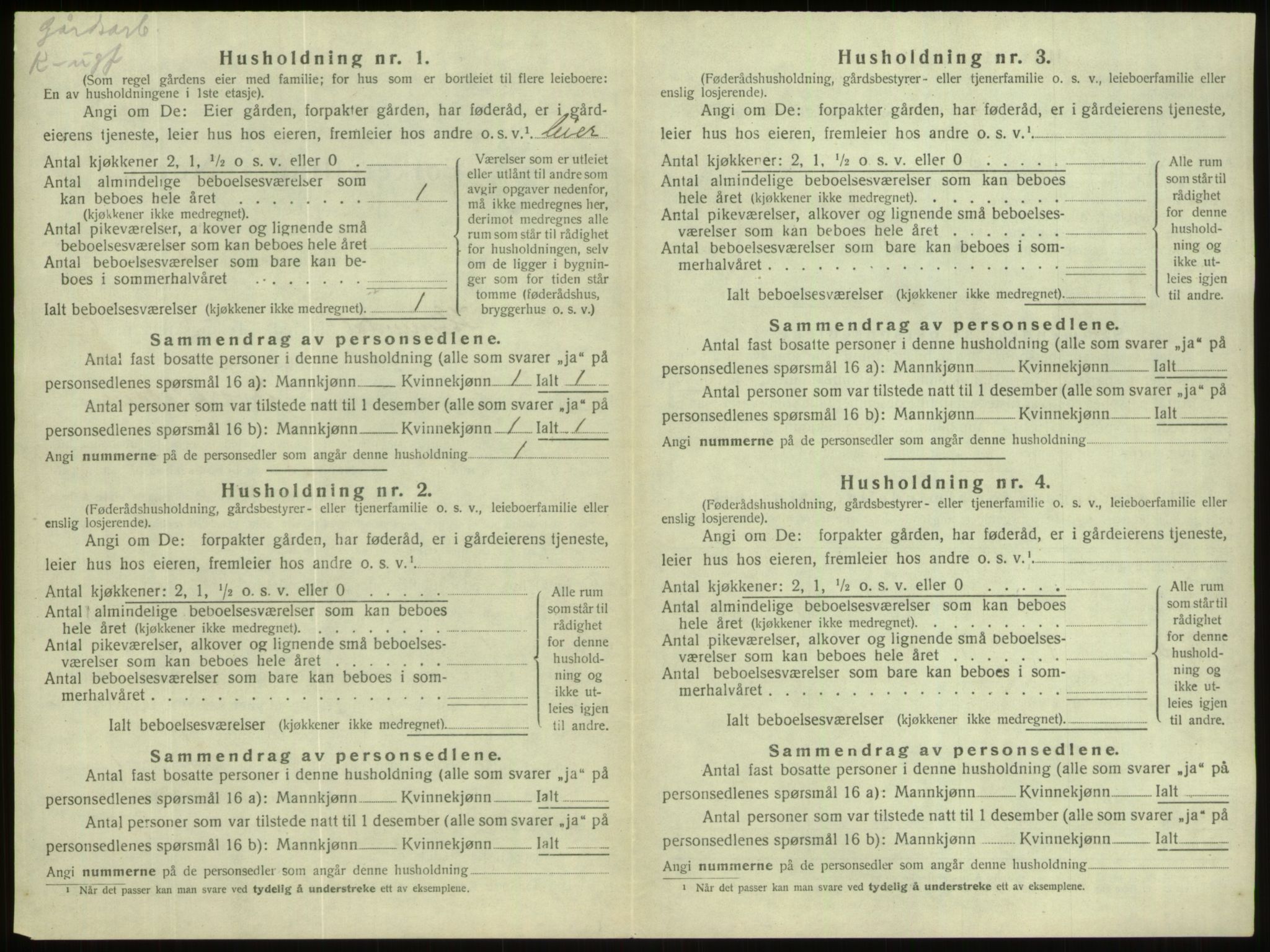 SAB, 1920 census for Hornindal, 1920, p. 431