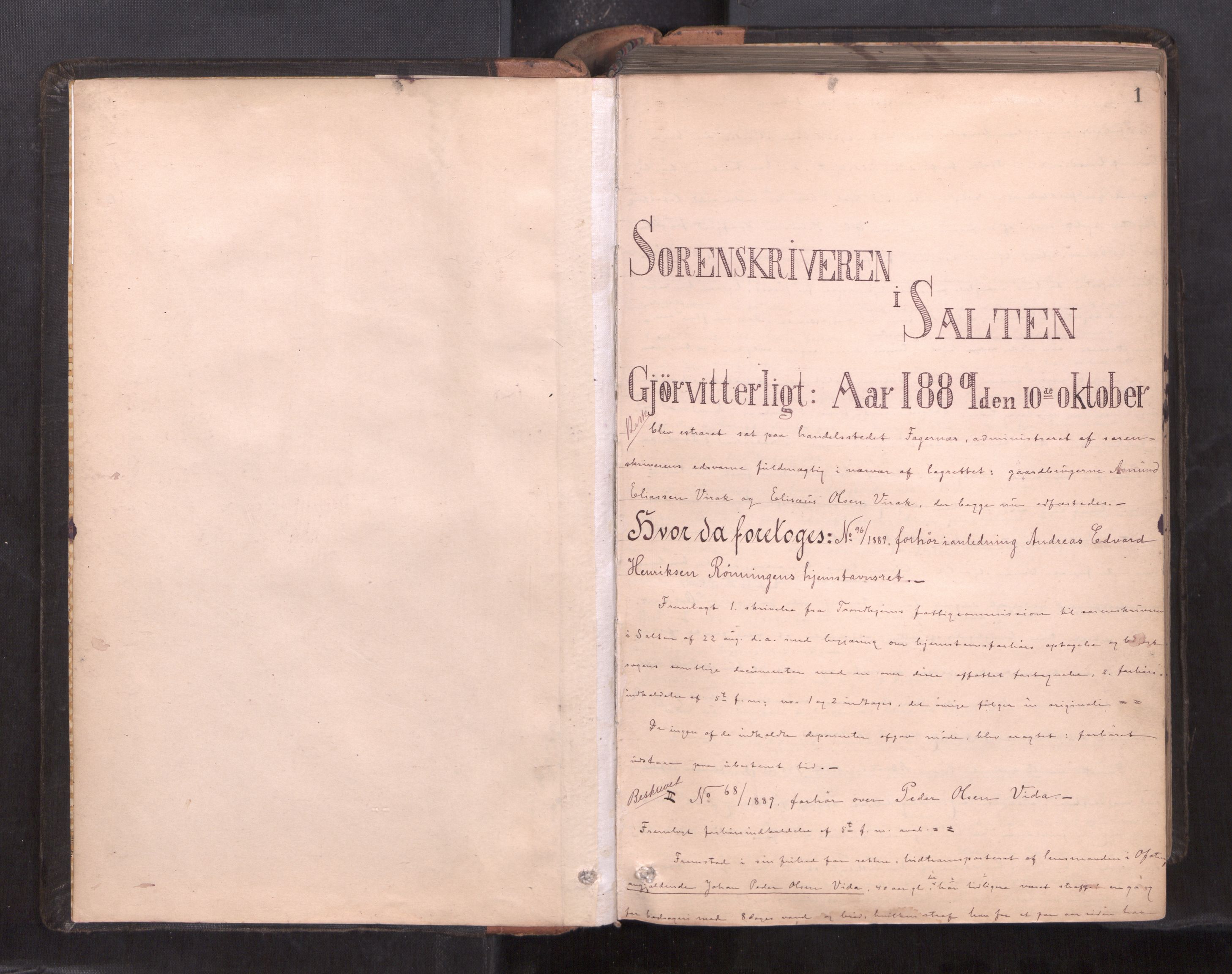 Salten sorenskriveri, SAT/A-4578/1/1/1B/L0031: Ekstrarettsprot. nr. 29, 1890-1894, p. 1a