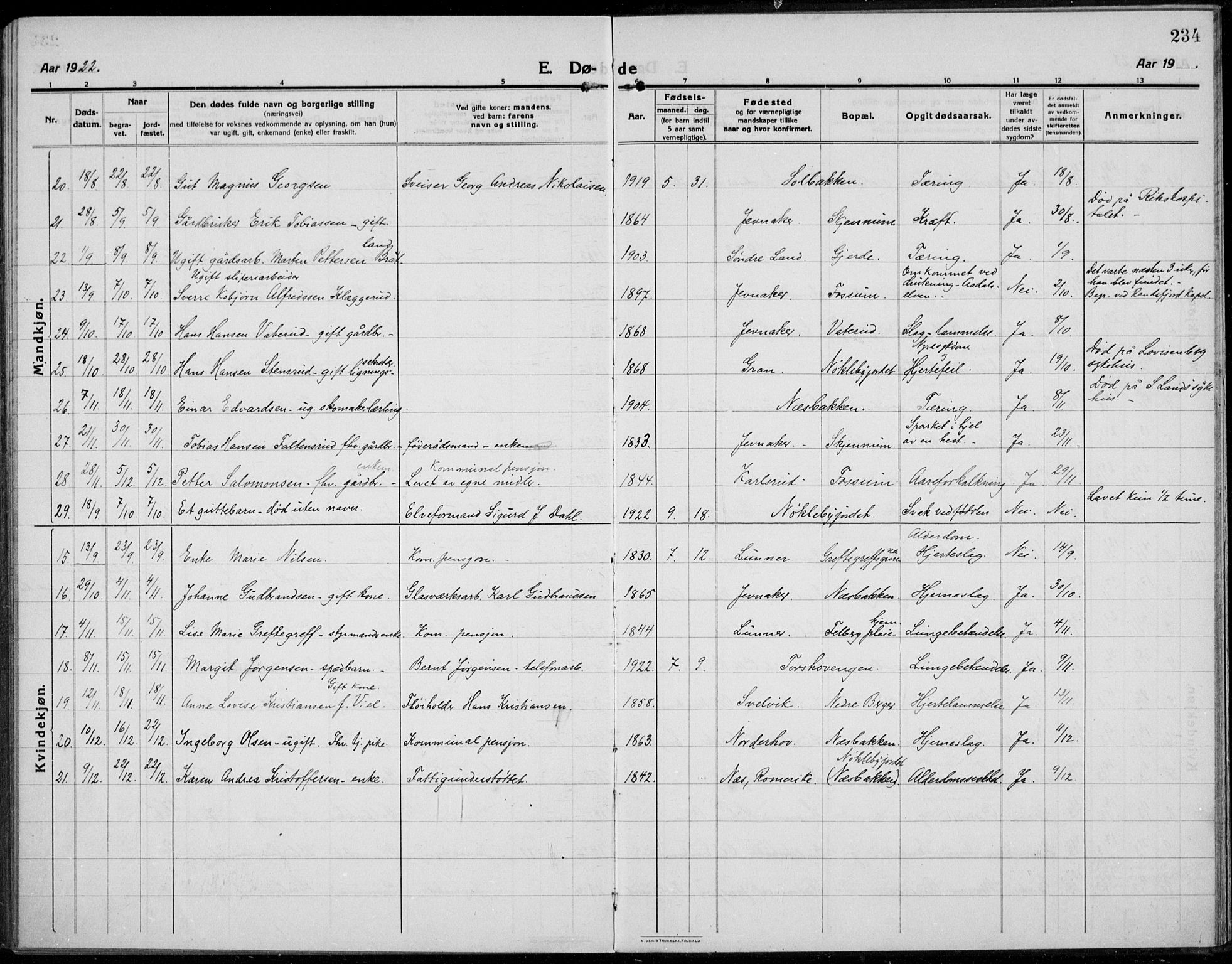 Jevnaker prestekontor, SAH/PREST-116/H/Ha/Haa/L0012: Parish register (official) no. 12, 1914-1924, p. 234