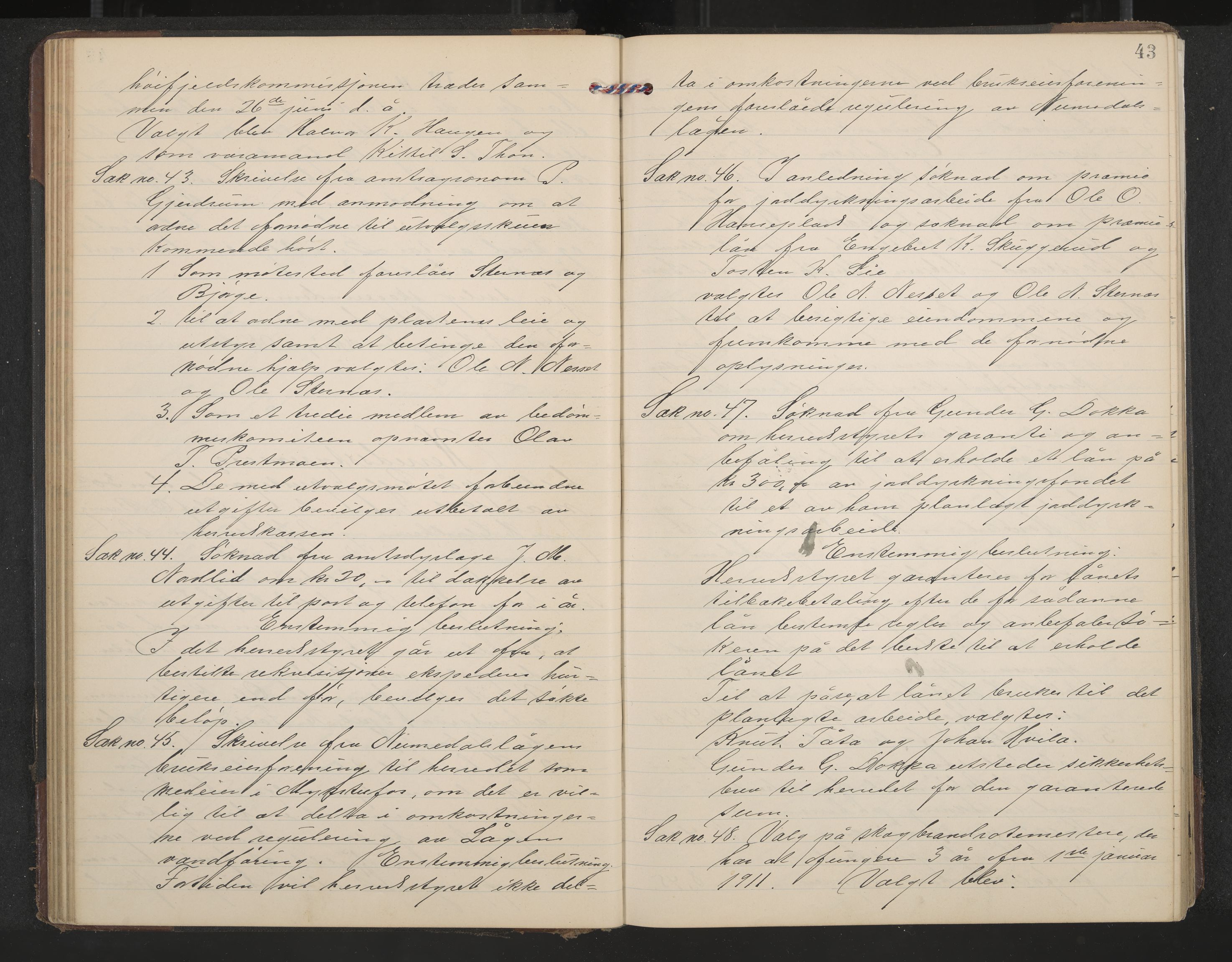 Rollag formannskap og sentraladministrasjon, IKAK/0632021-2/A/Aa/L0005: Møtebok, 1909-1915, p. 43