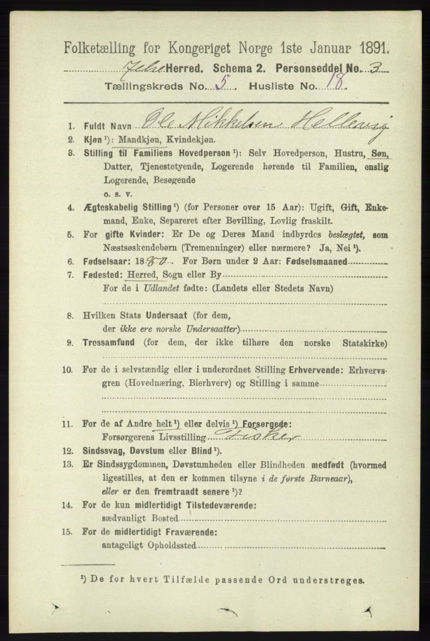 RA, 1891 census for 1138 Jelsa, 1891, p. 1146