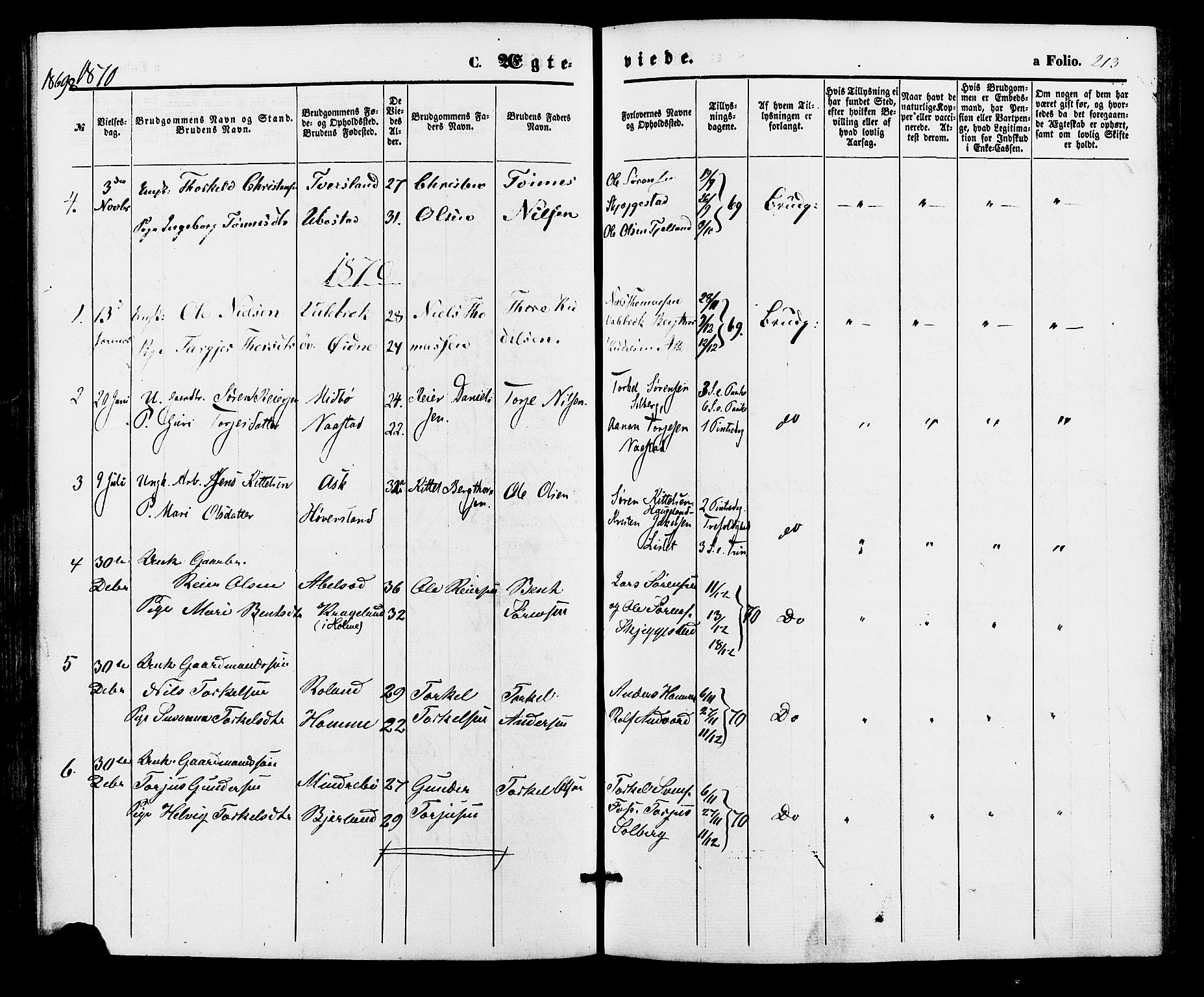 Bjelland sokneprestkontor, SAK/1111-0005/F/Fa/Faa/L0003: Parish register (official) no. A 3, 1867-1887, p. 213