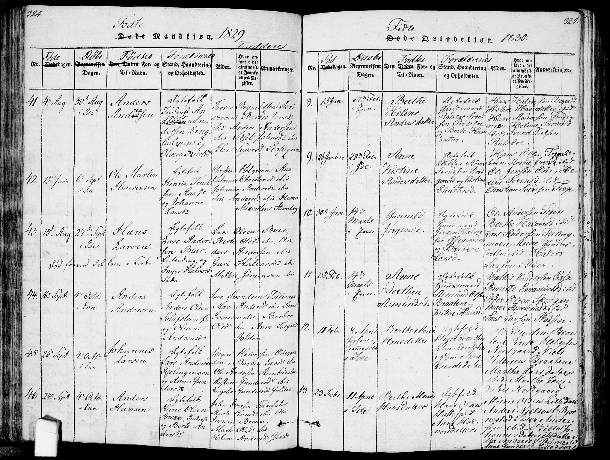 Idd prestekontor Kirkebøker, AV/SAO-A-10911/F/Fc/L0002: Parish register (official) no. III 2, 1815-1831, p. 324-325