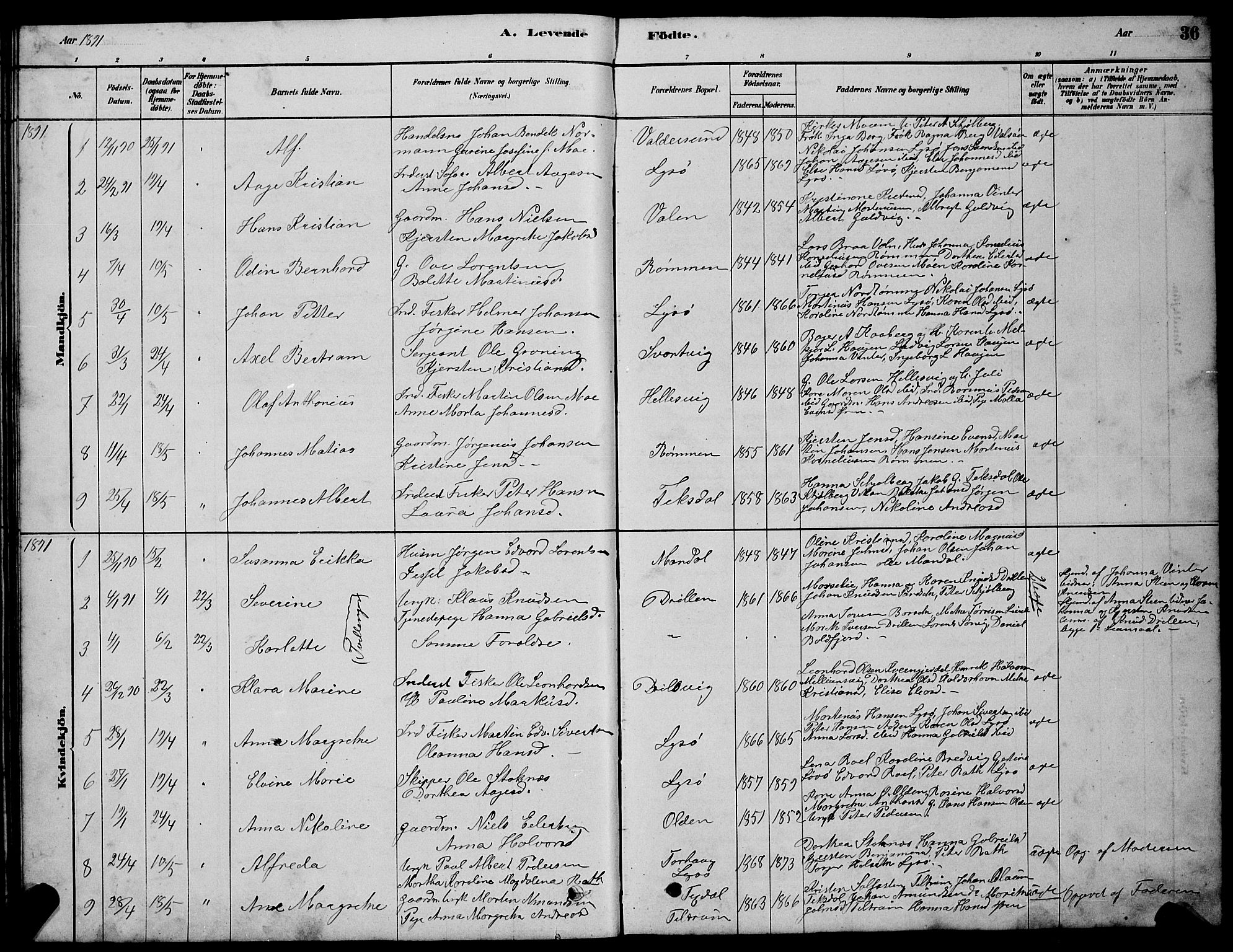 Ministerialprotokoller, klokkerbøker og fødselsregistre - Sør-Trøndelag, SAT/A-1456/654/L0665: Parish register (copy) no. 654C01, 1879-1901, p. 36