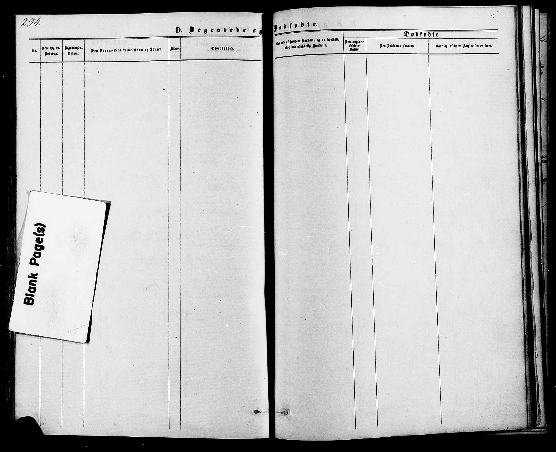 Kvinesdal sokneprestkontor, SAK/1111-0026/F/Fa/Fab/L0007: Parish register (official) no. A 7, 1870-1885, p. 294