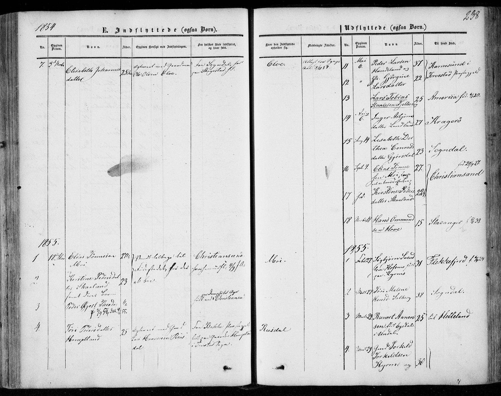 Lund sokneprestkontor, AV/SAST-A-101809/S06/L0009: Parish register (official) no. A 8, 1853-1877, p. 238