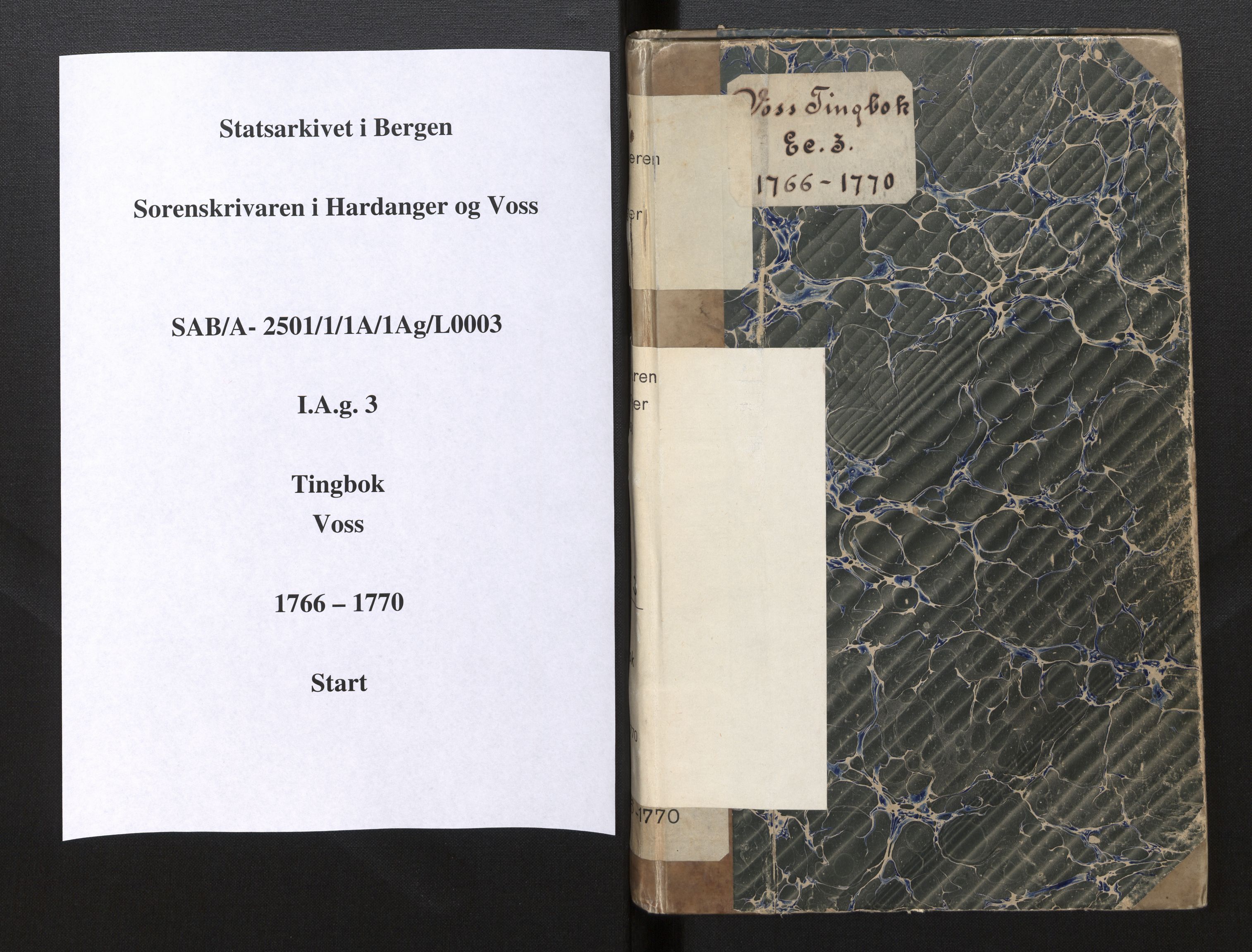 Hardanger og Voss sorenskriveri, AV/SAB-A-2501/1/1A/1Ag/L0003: Tingbok for Voss, 1766-1770