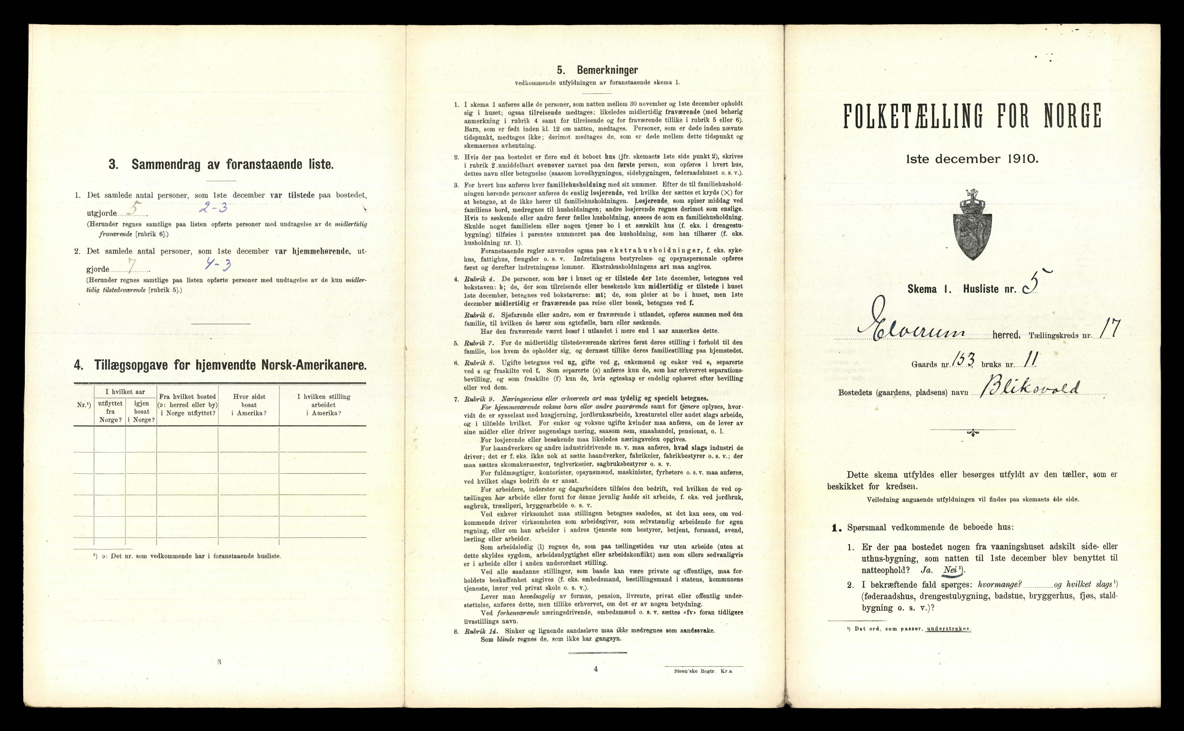 RA, 1910 census for Elverum, 1910, p. 2905