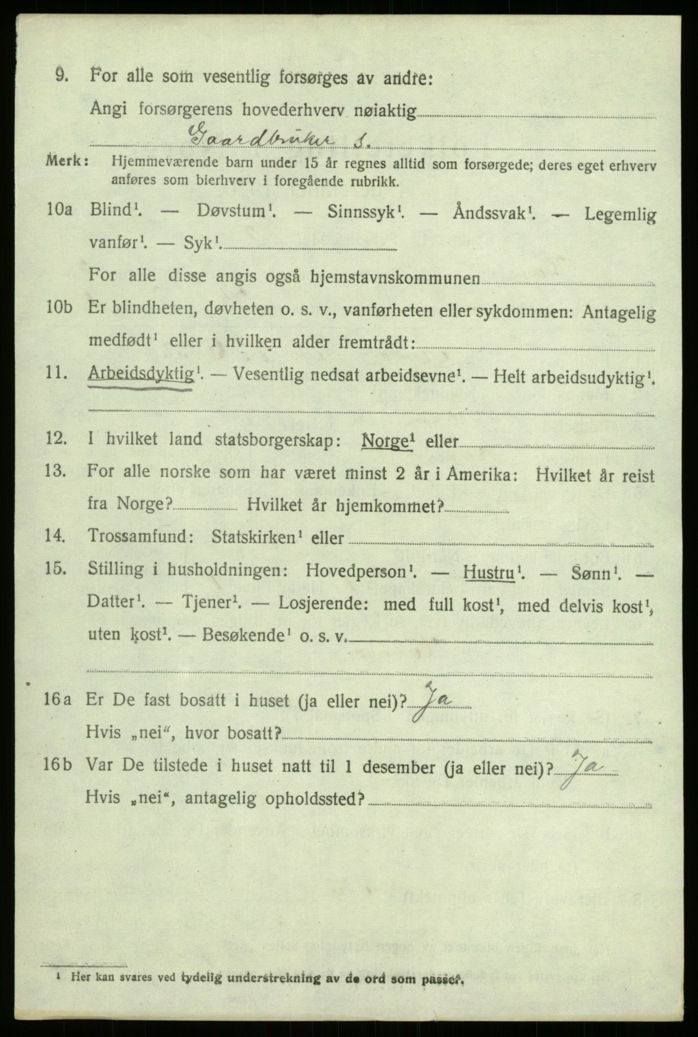 SAB, 1920 census for Hafslo, 1920, p. 3873