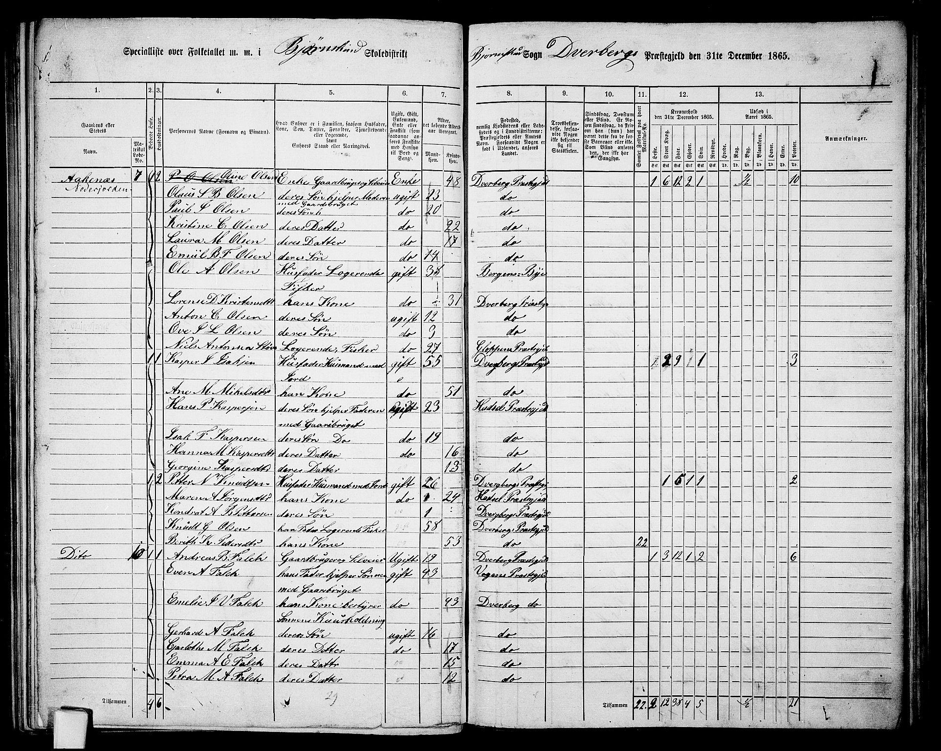 RA, 1865 census for Dverberg, 1865, p. 38