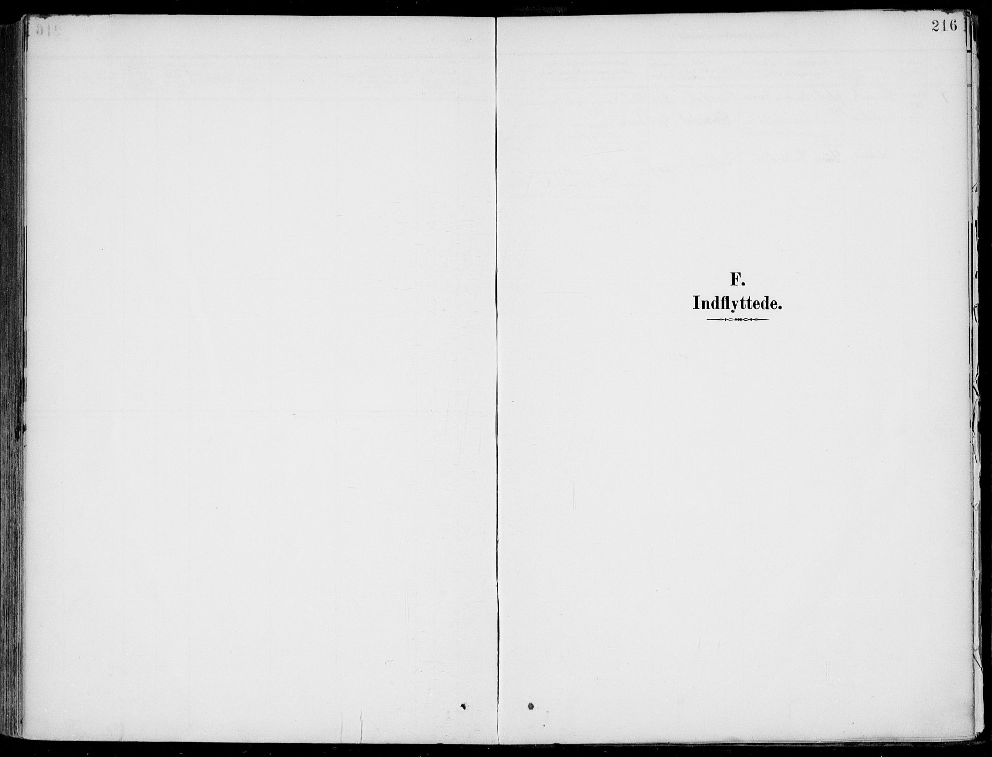 Vik sokneprestembete, SAB/A-81501: Parish register (official) no. B  2, 1891-1907, p. 216