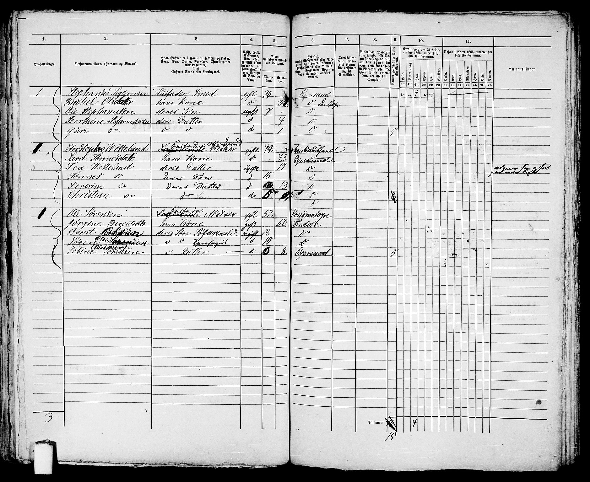 RA, 1865 census for Eigersund parish, Egersund town, 1865, p. 245