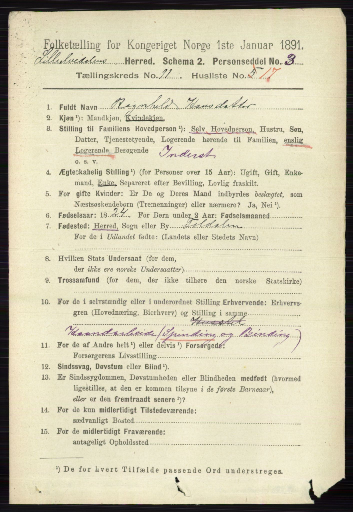 RA, 1891 census for 0438 Lille Elvedalen, 1891, p. 3906