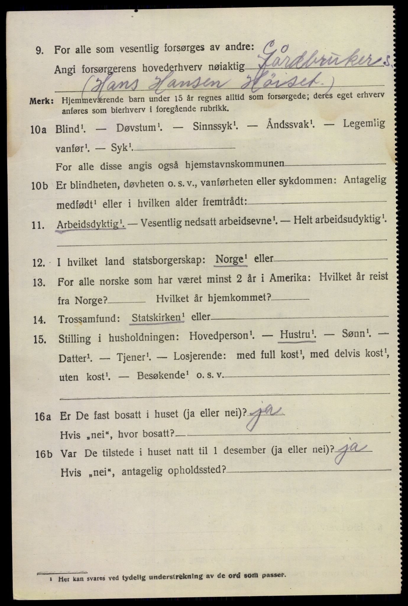 SAKO, 1920 census for Hovin, 1920, p. 1160