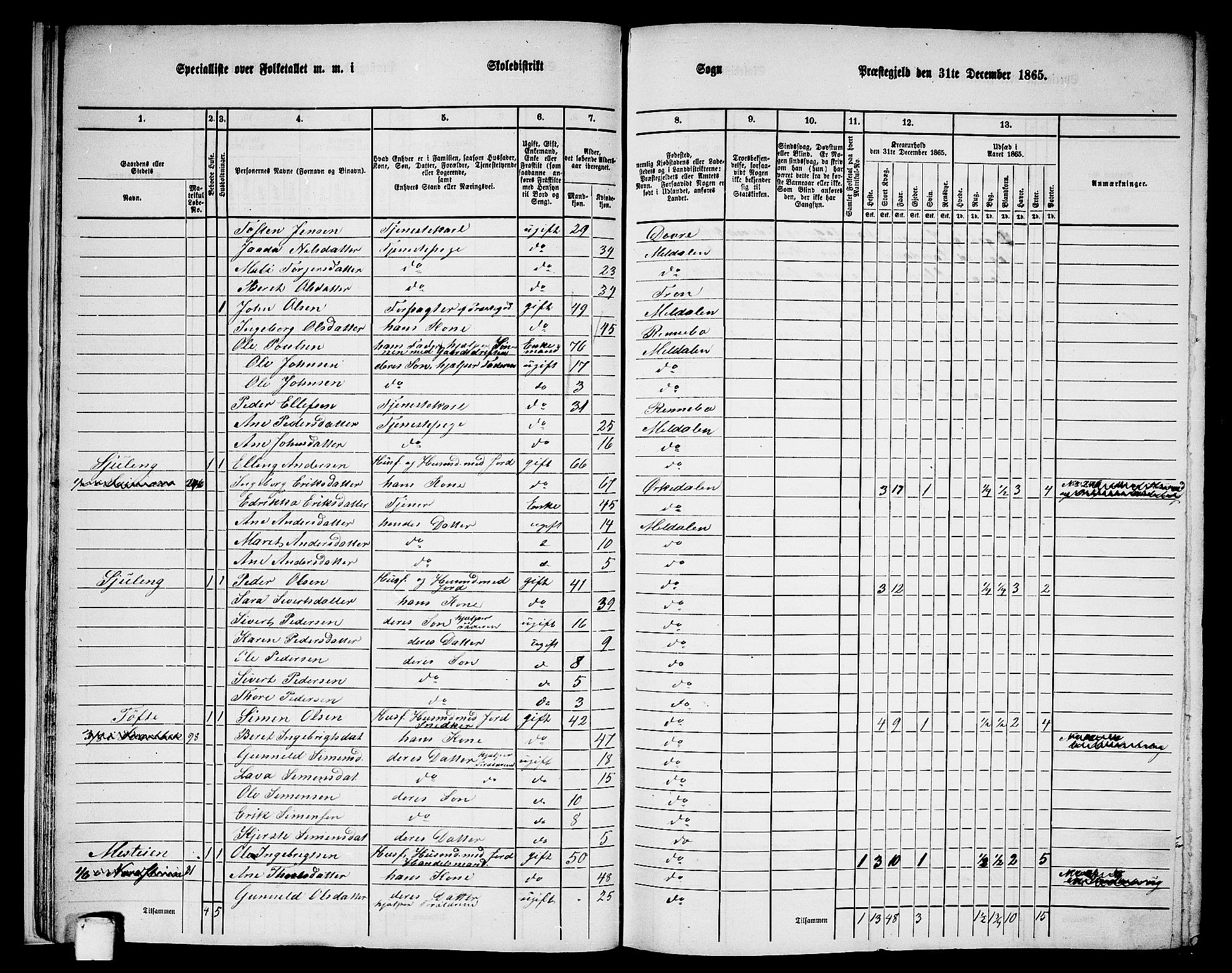 RA, 1865 census for Meldal, 1865, p. 20