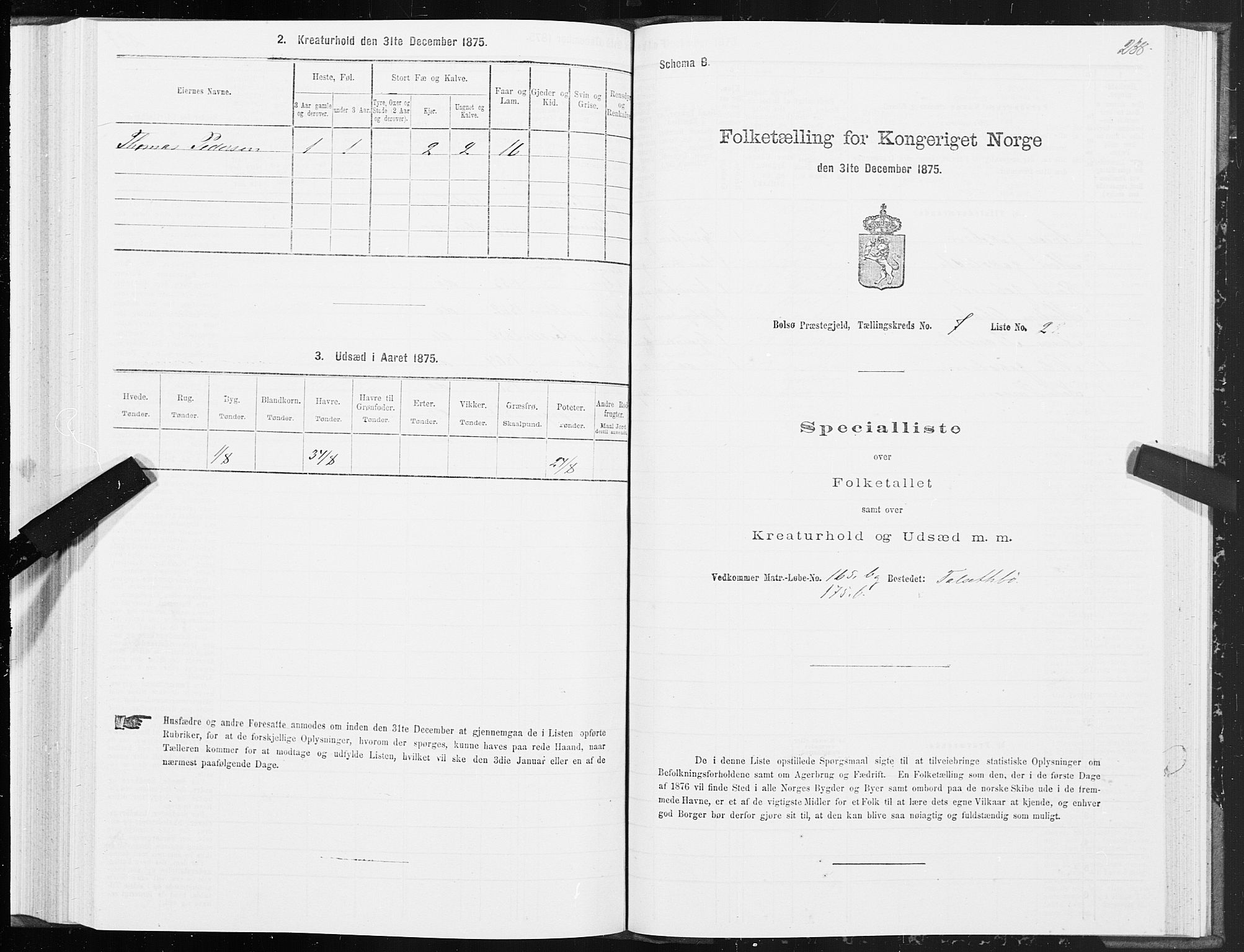 SAT, 1875 census for 1544P Bolsøy, 1875, p. 4238