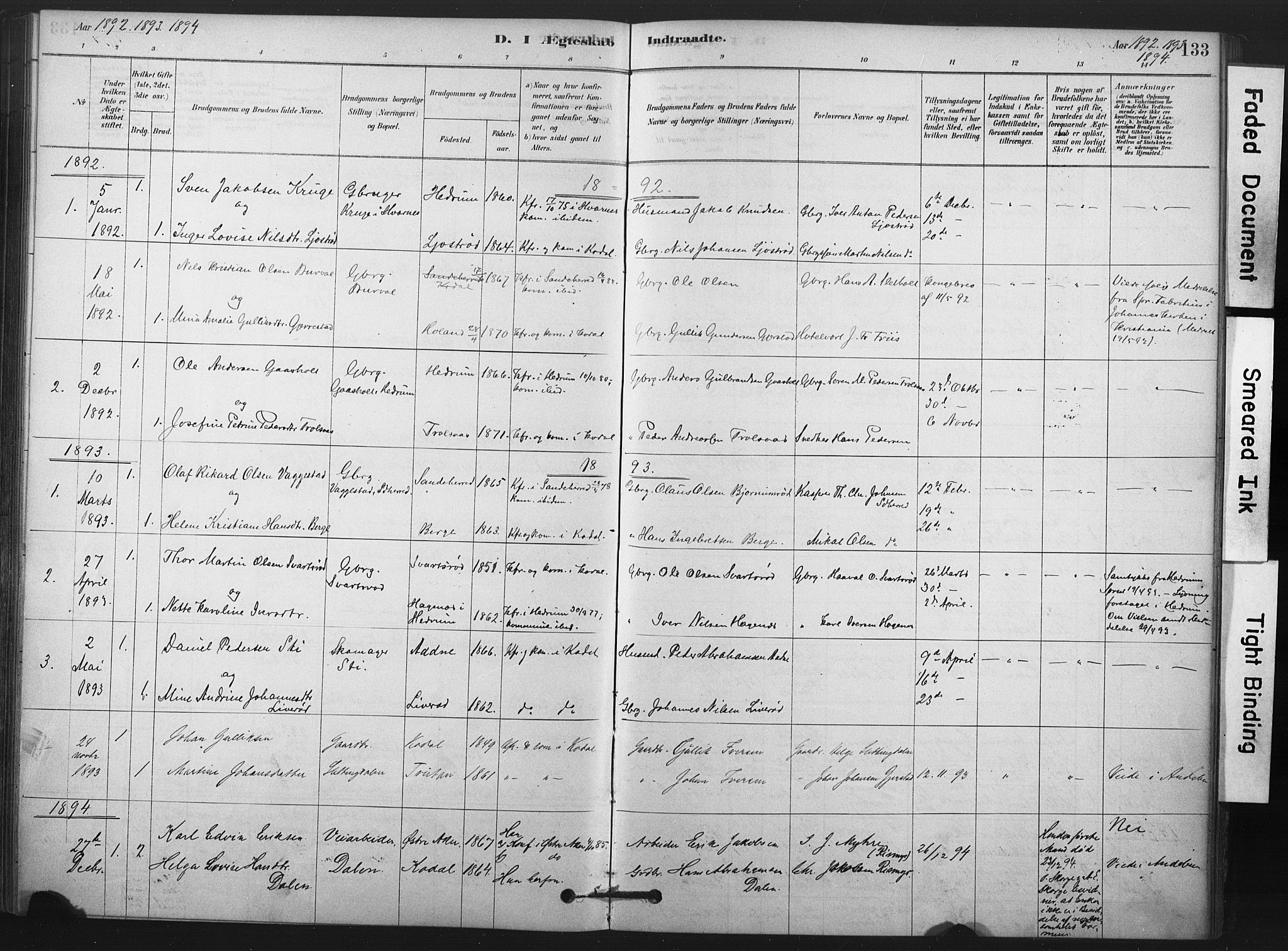 Andebu kirkebøker, AV/SAKO-A-336/F/Fa/L0008: Parish register (official) no. 8, 1878-1902, p. 133