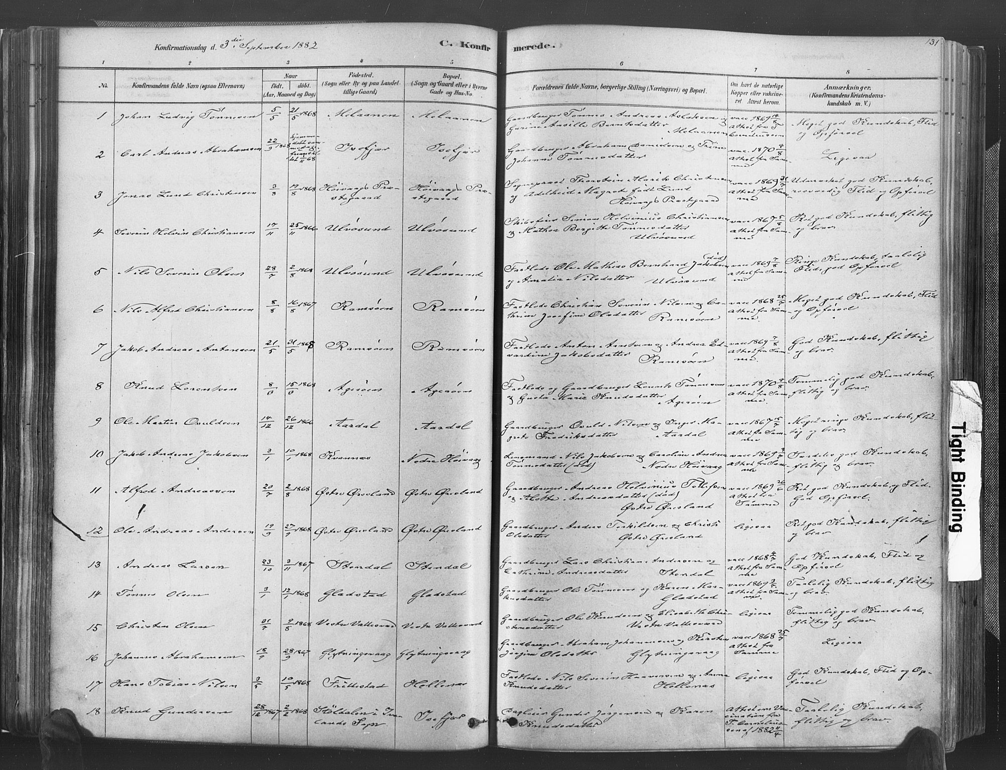 Høvåg sokneprestkontor, SAK/1111-0025/F/Fa/L0005: Parish register (official) no. A 5, 1878-1893, p. 131