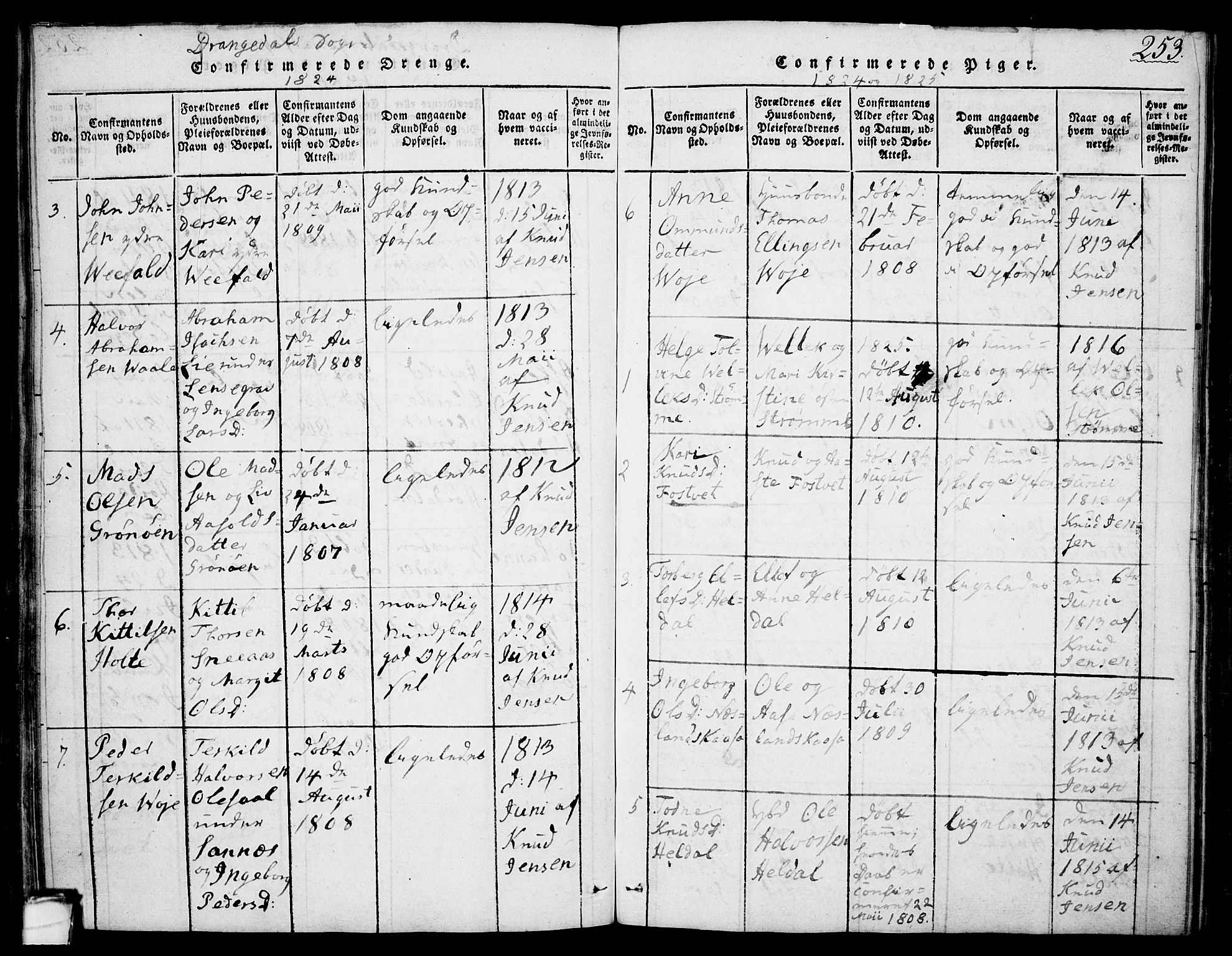 Drangedal kirkebøker, AV/SAKO-A-258/F/Fa/L0005: Parish register (official) no. 5 /1, 1814-1831, p. 253