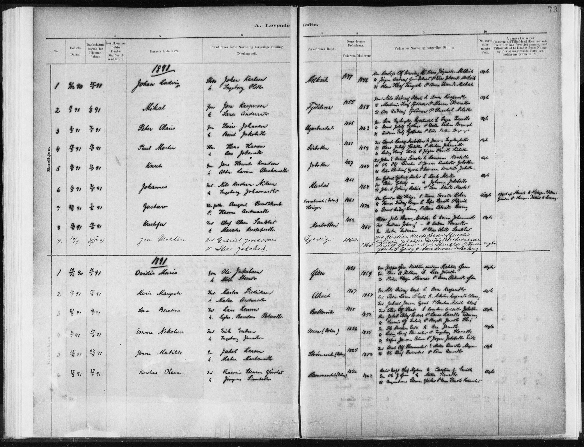 Ministerialprotokoller, klokkerbøker og fødselsregistre - Sør-Trøndelag, SAT/A-1456/637/L0558: Parish register (official) no. 637A01, 1882-1899, p. 73