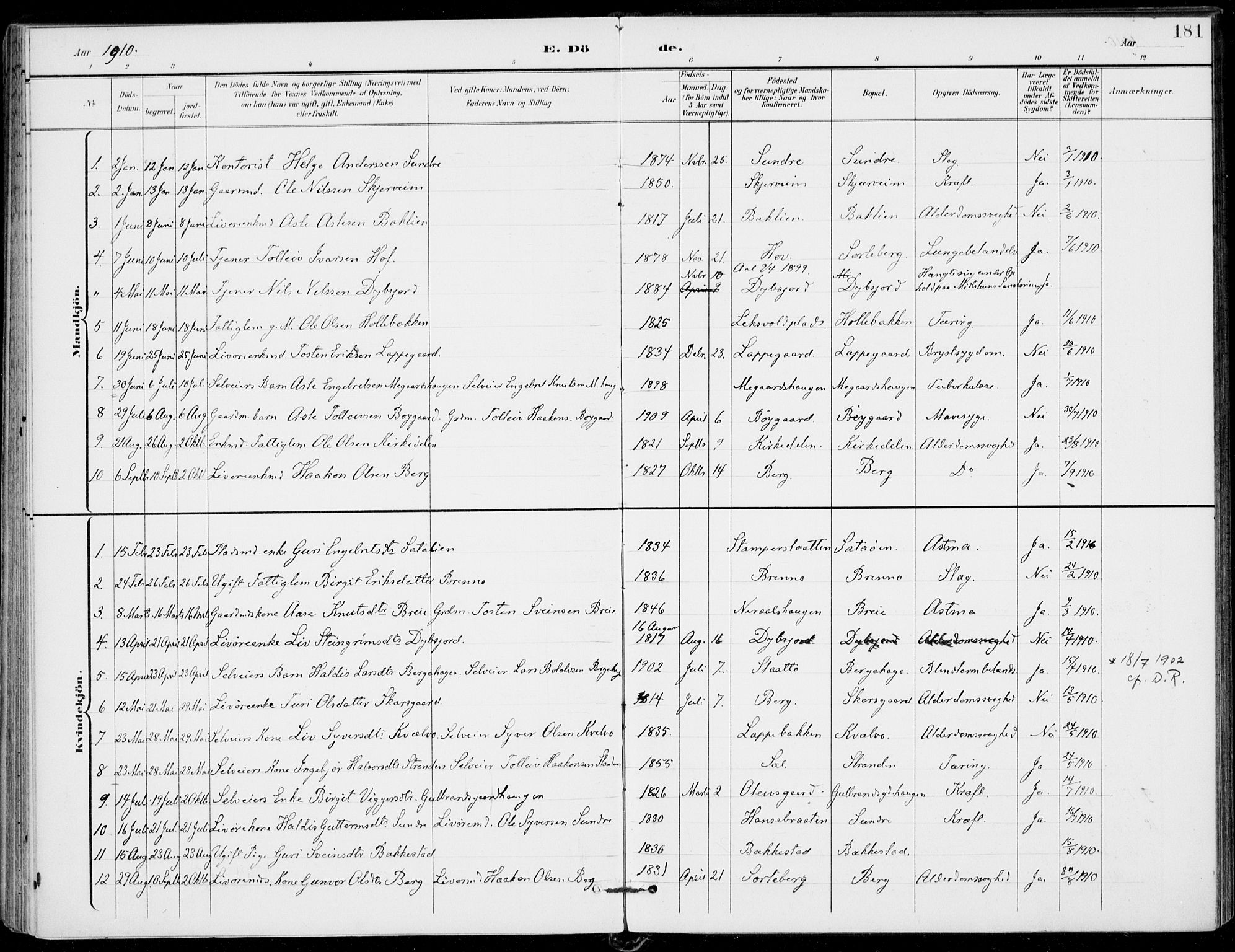 Ål kirkebøker, AV/SAKO-A-249/F/Fa/L0009: Parish register (official) no. I 9, 1897-1915, p. 181