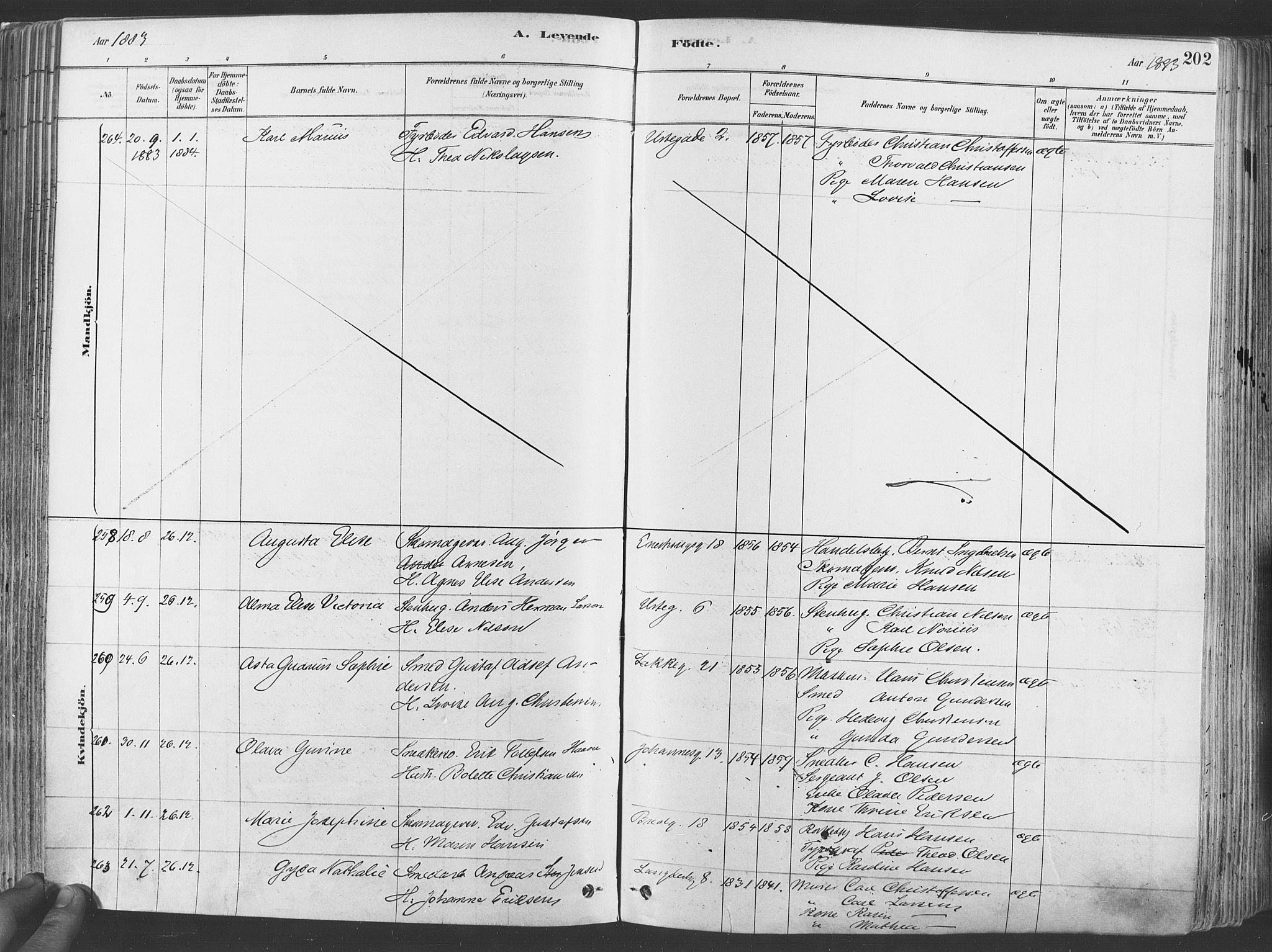 Grønland prestekontor Kirkebøker, AV/SAO-A-10848/F/Fa/L0007: Parish register (official) no. 7, 1878-1888, p. 202