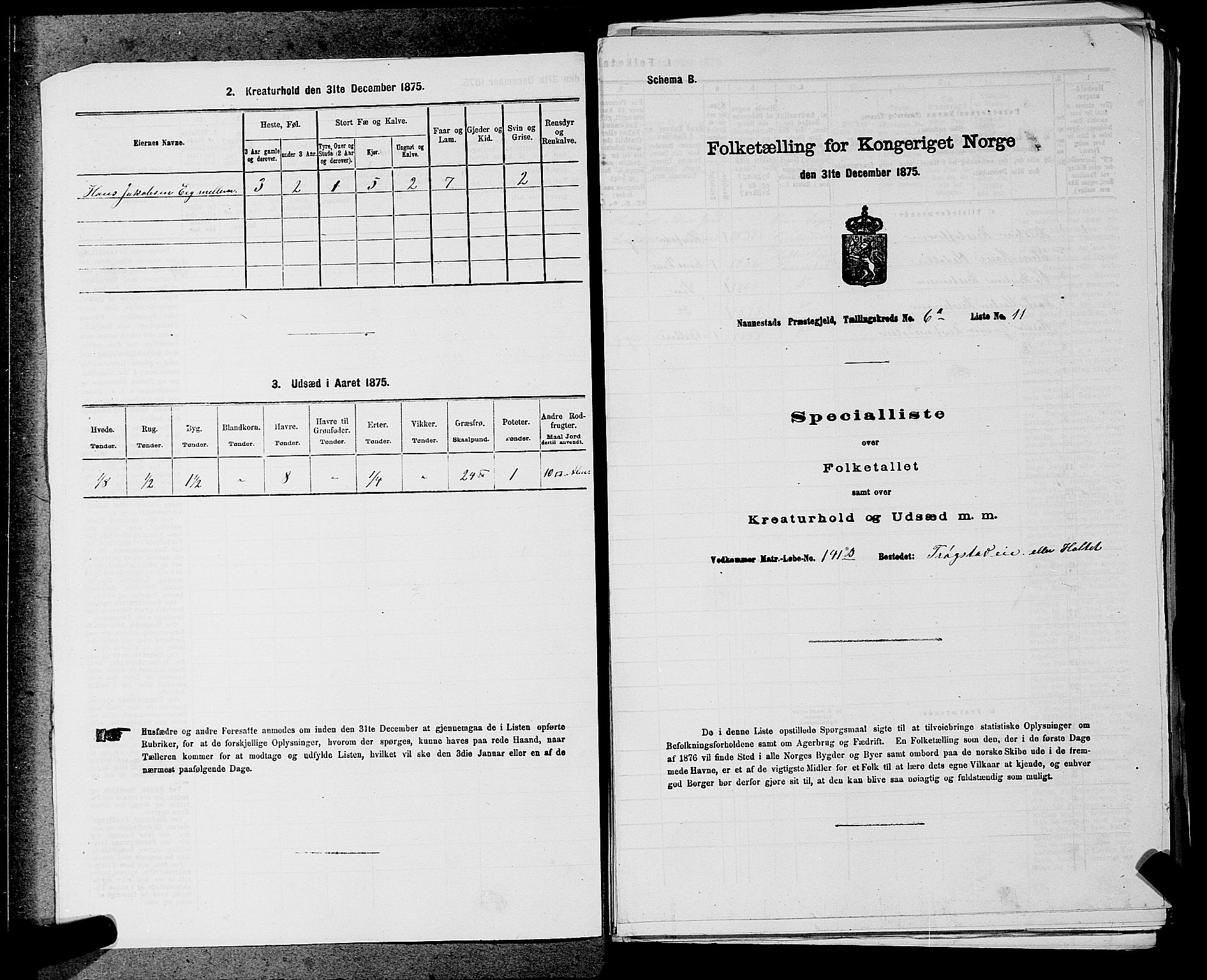 RA, 1875 census for 0238P Nannestad, 1875, p. 881