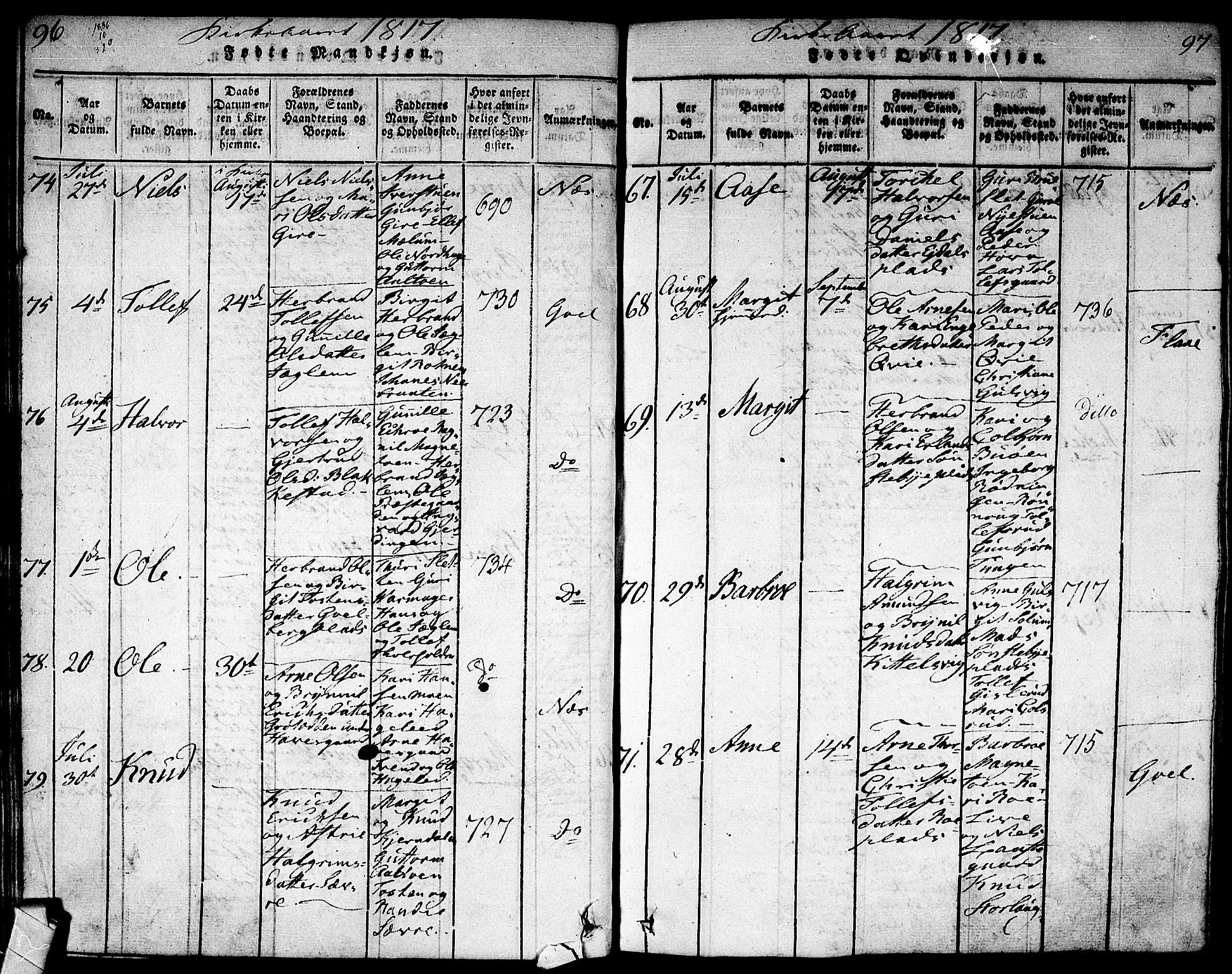 Nes kirkebøker, SAKO/A-236/F/Fa/L0007: Parish register (official) no. 7, 1815-1823, p. 96-97