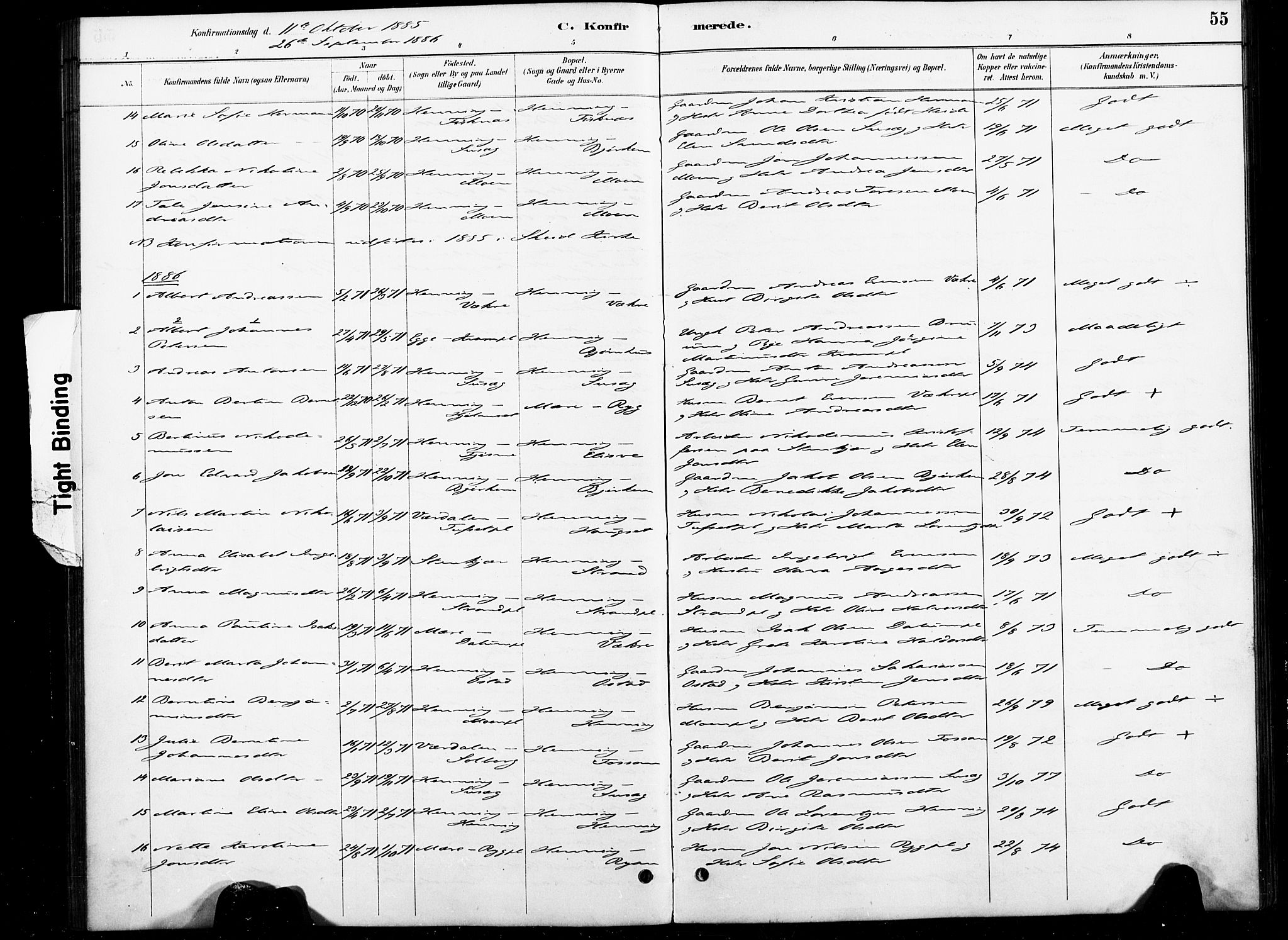 Ministerialprotokoller, klokkerbøker og fødselsregistre - Nord-Trøndelag, SAT/A-1458/738/L0364: Parish register (official) no. 738A01, 1884-1902, p. 55