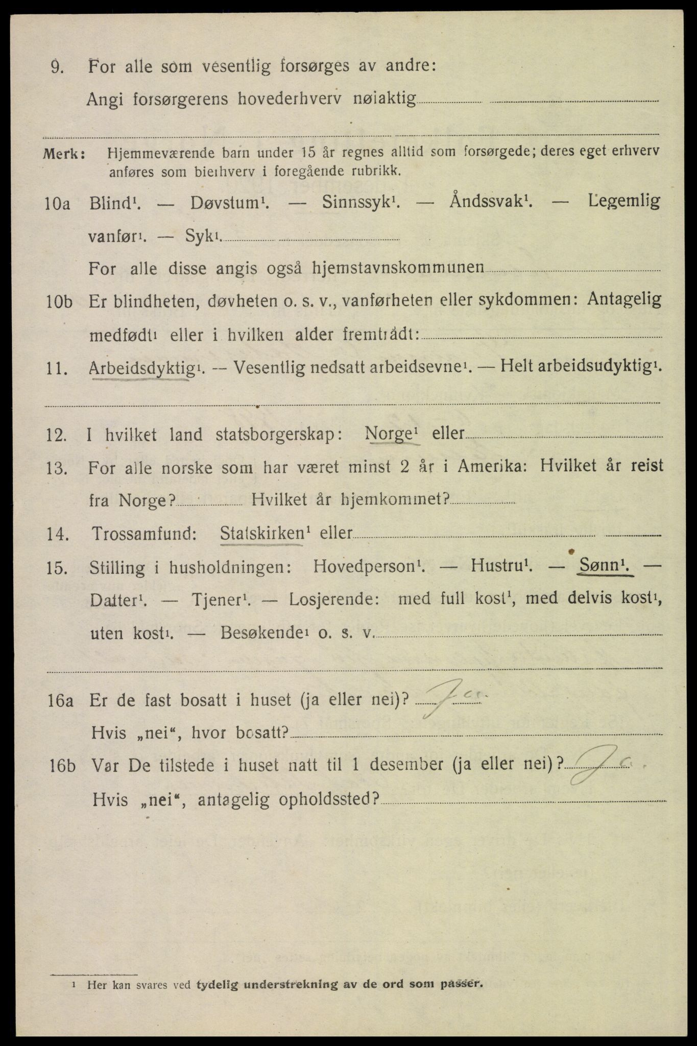 SAH, 1920 census for Elverum, 1920, p. 16169