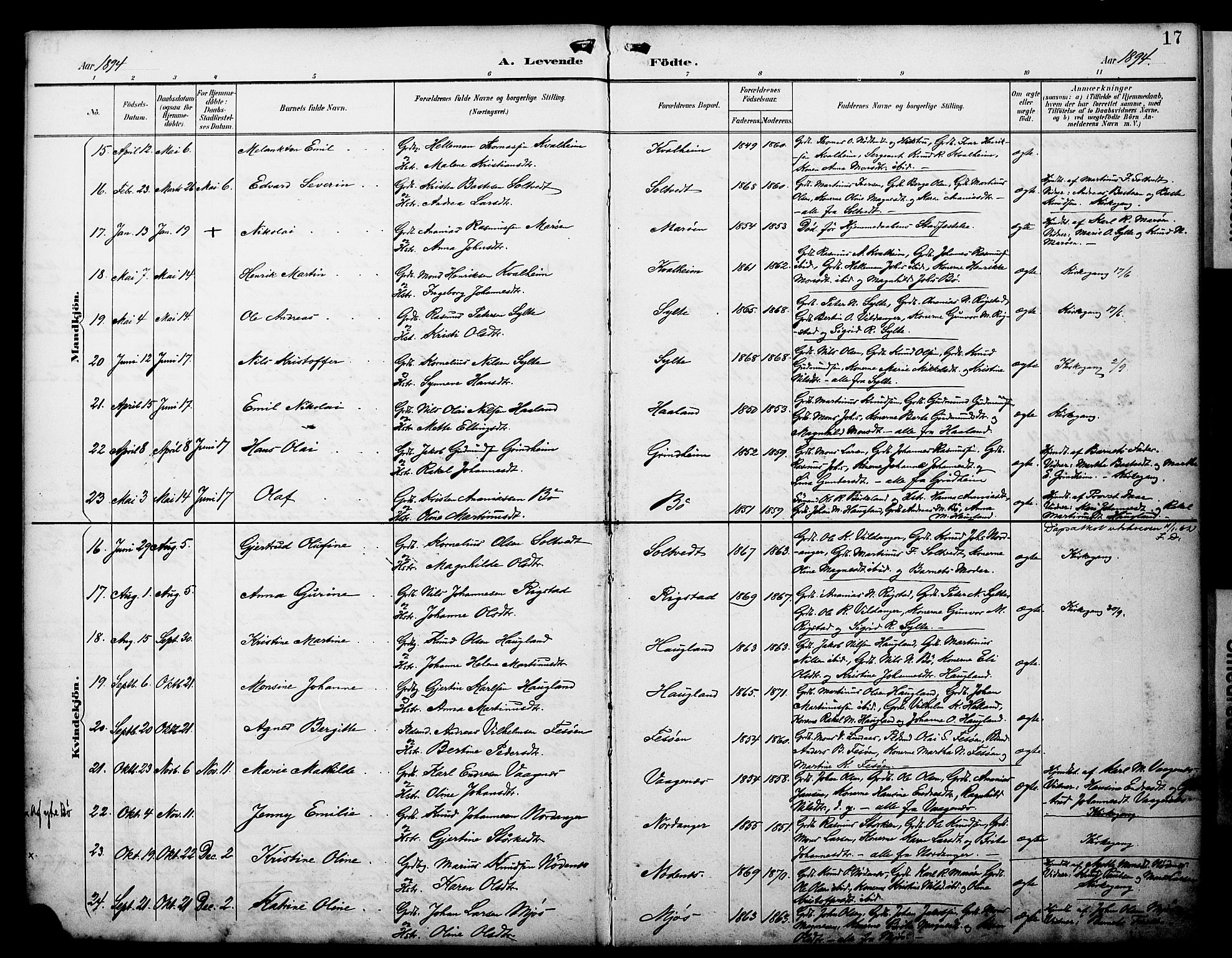 Manger sokneprestembete, AV/SAB-A-76801/H/Haa: Parish register (official) no. C 2, 1891-1902, p. 17