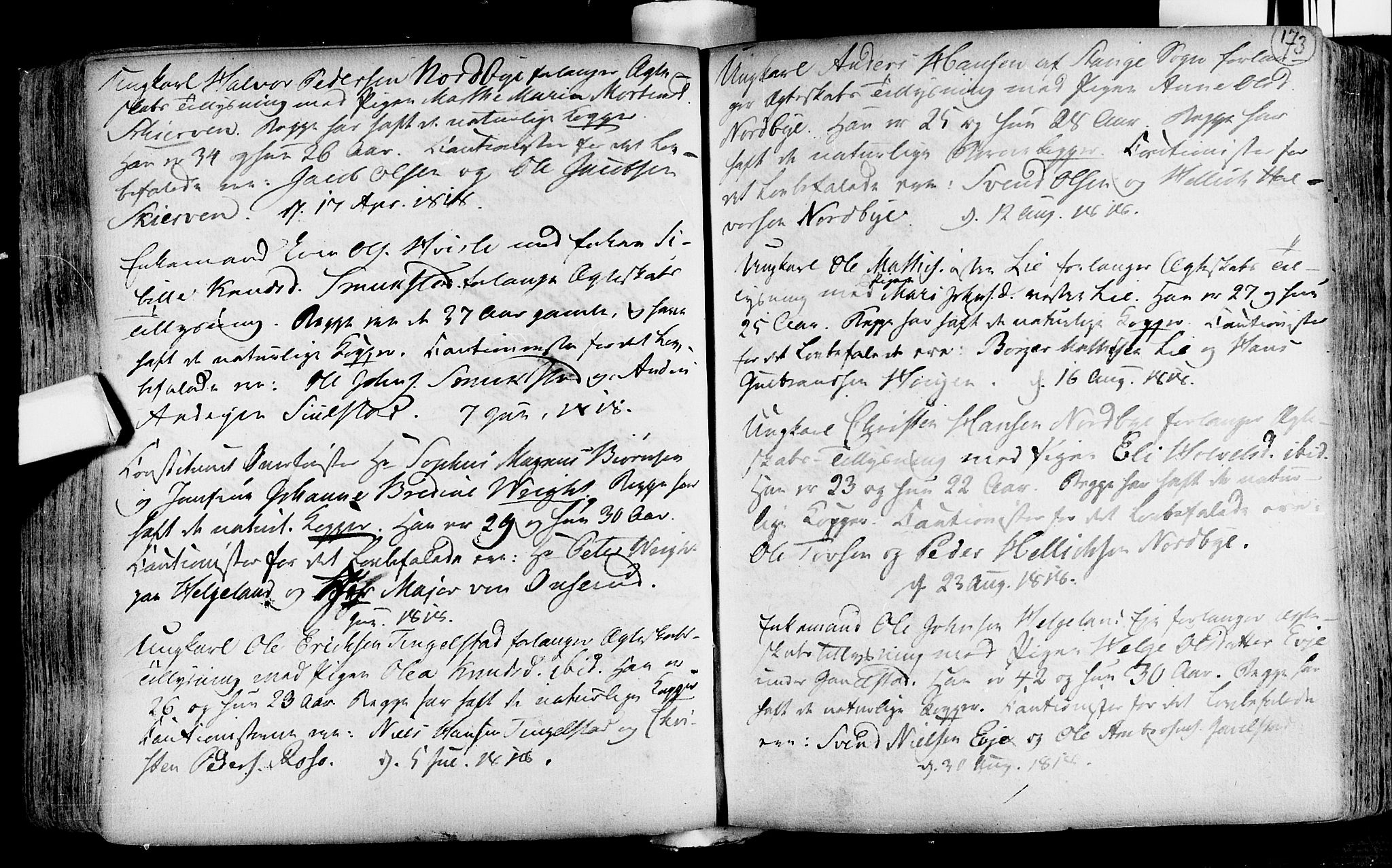 Lardal kirkebøker, SAKO/A-350/F/Fa/L0004: Parish register (official) no. i 4, 1733-1815, p. 173