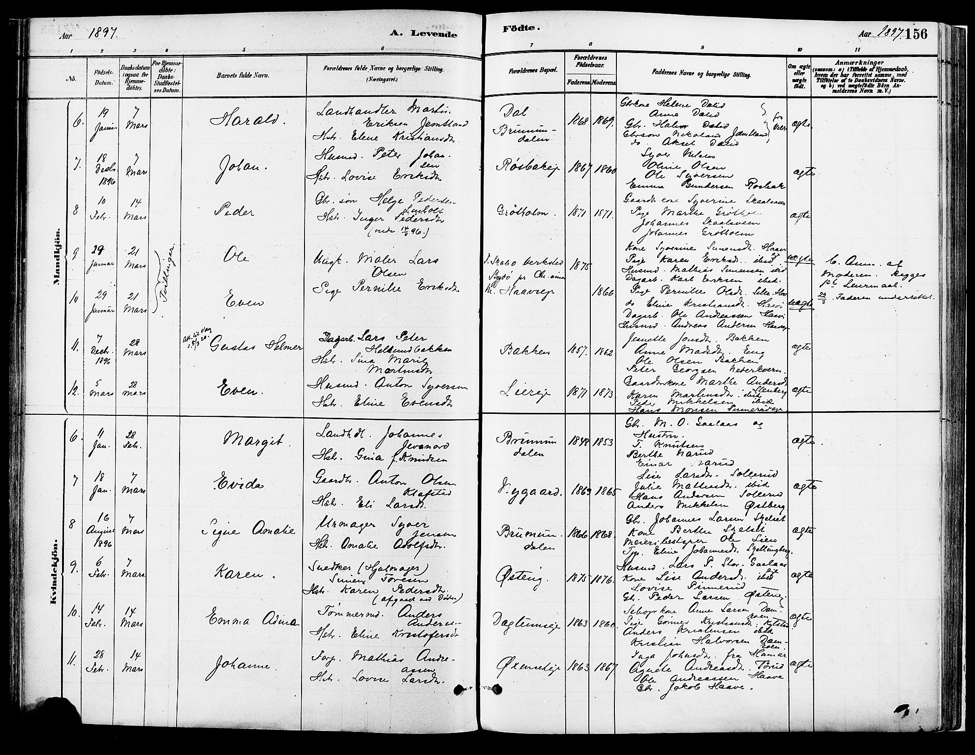 Vang prestekontor, Hedmark, SAH/PREST-008/H/Ha/Haa/L0018A: Parish register (official) no. 18A, 1880-1906, p. 156