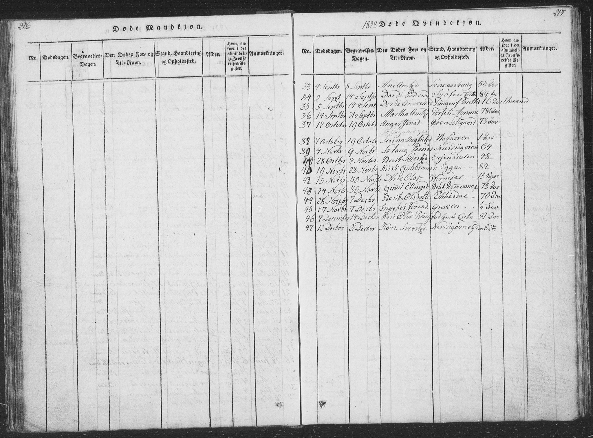 Ministerialprotokoller, klokkerbøker og fødselsregistre - Sør-Trøndelag, SAT/A-1456/668/L0816: Parish register (copy) no. 668C05, 1816-1893, p. 216-217