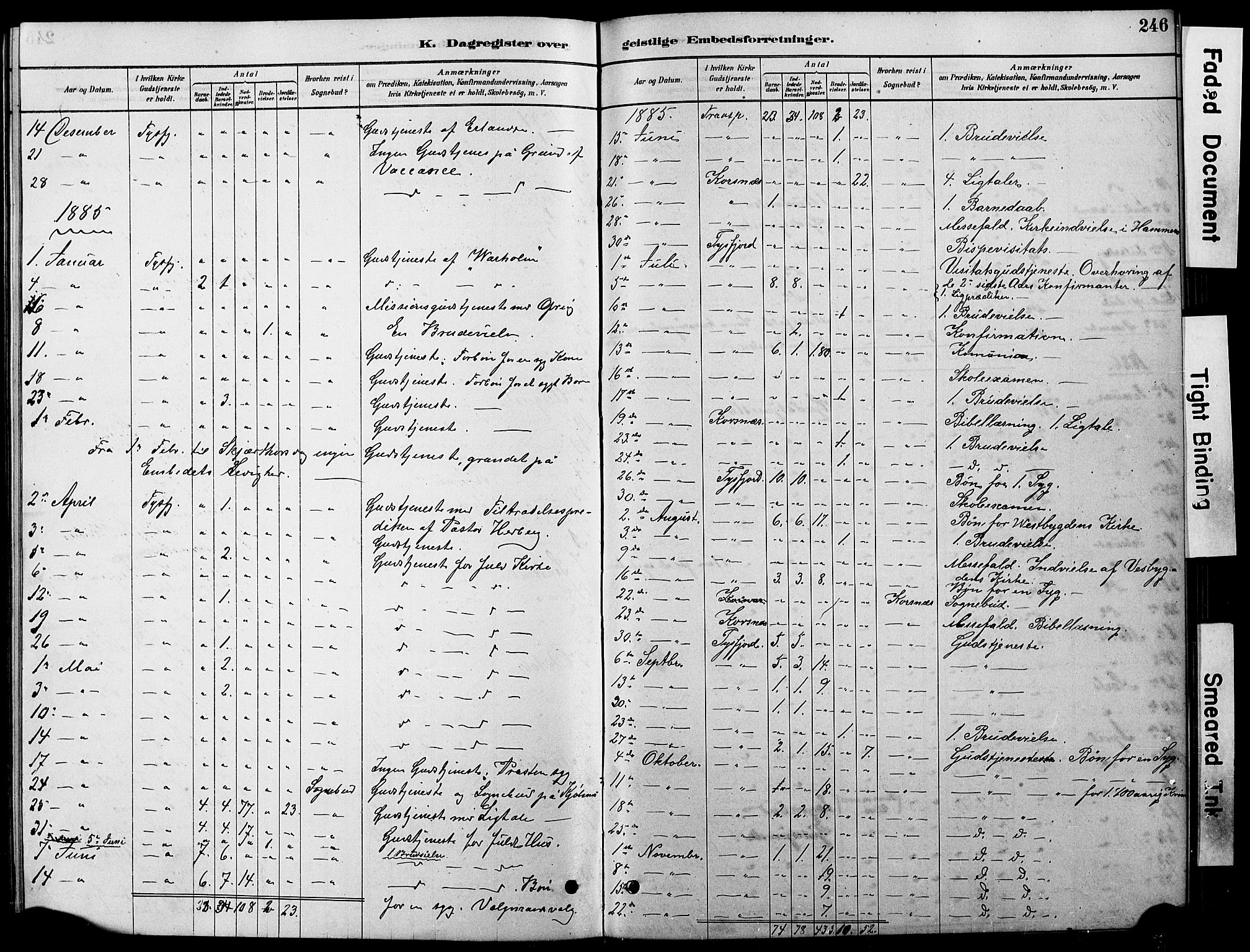 Ministerialprotokoller, klokkerbøker og fødselsregistre - Nordland, AV/SAT-A-1459/861/L0875: Parish register (copy) no. 861C01, 1879-1887, p. 246