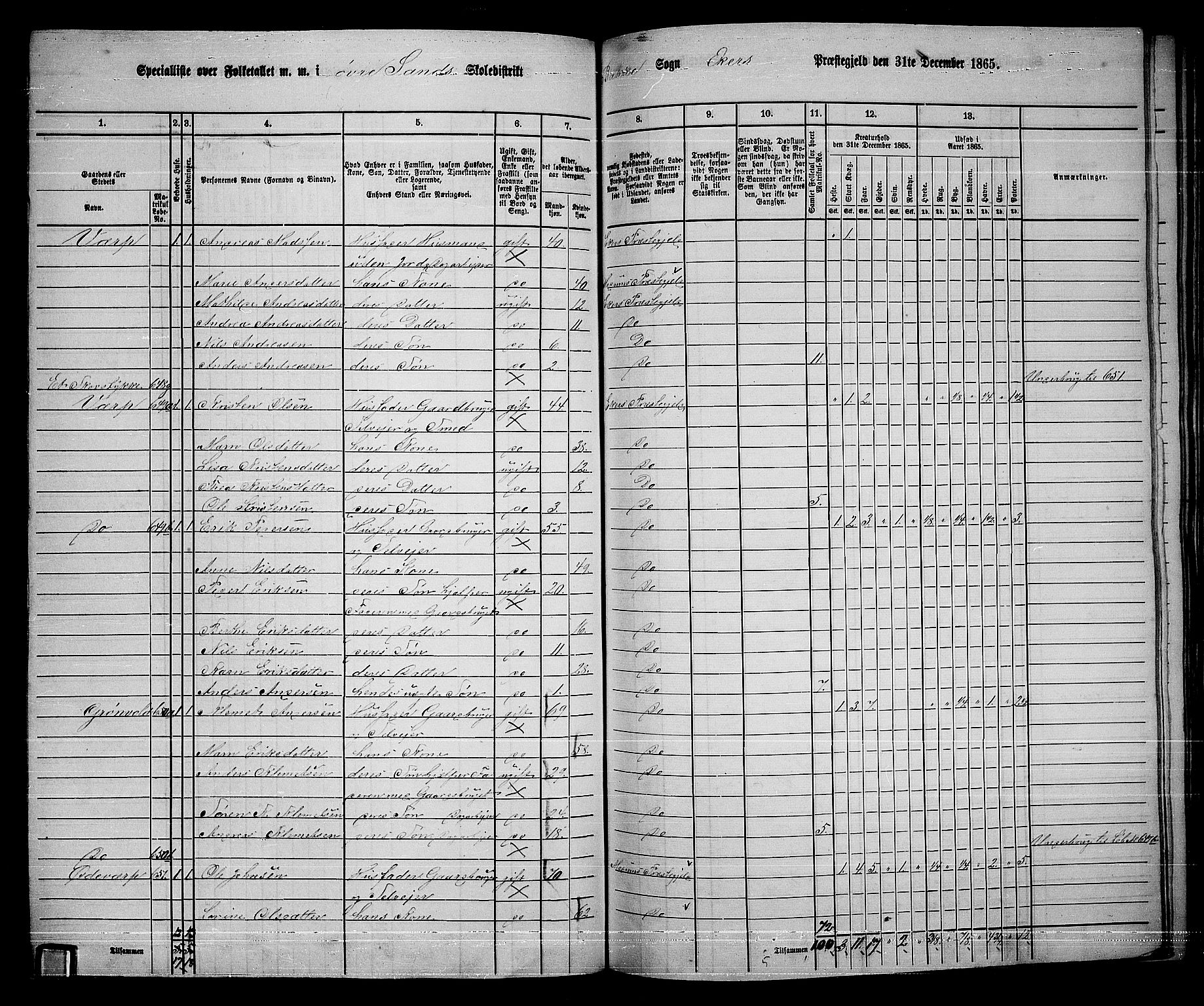 RA, 1865 census for Eiker, 1865, p. 456