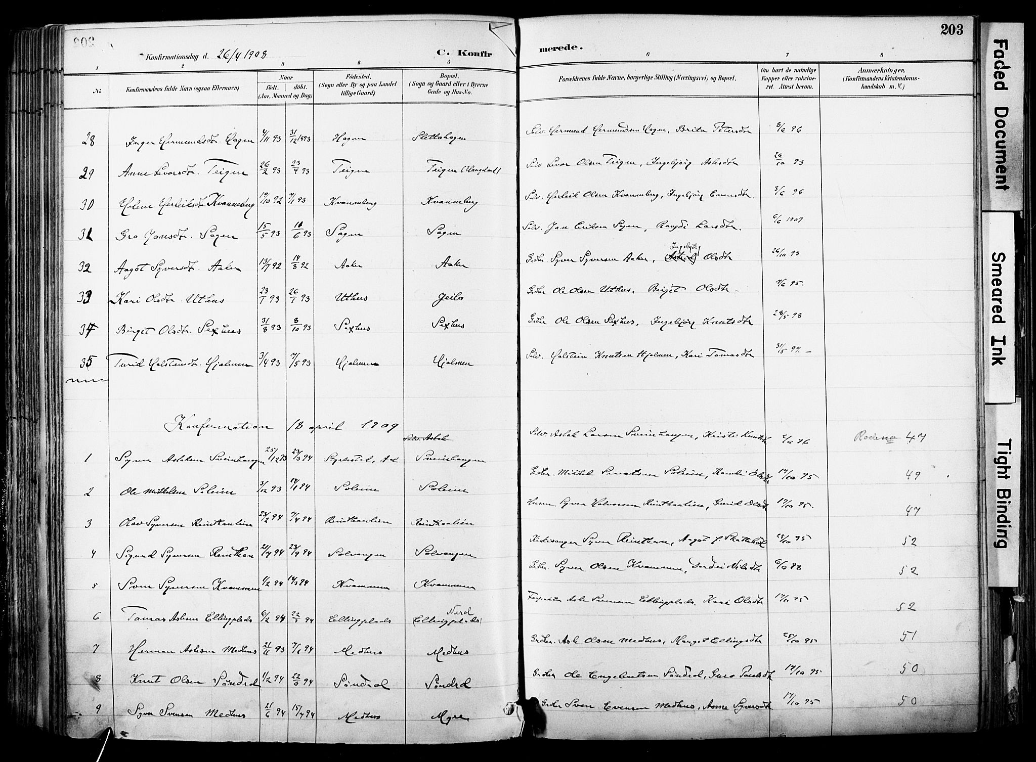 Hol kirkebøker, SAKO/A-227/F/Fa/L0003: Parish register (official) no. I 3, 1887-1918, p. 203
