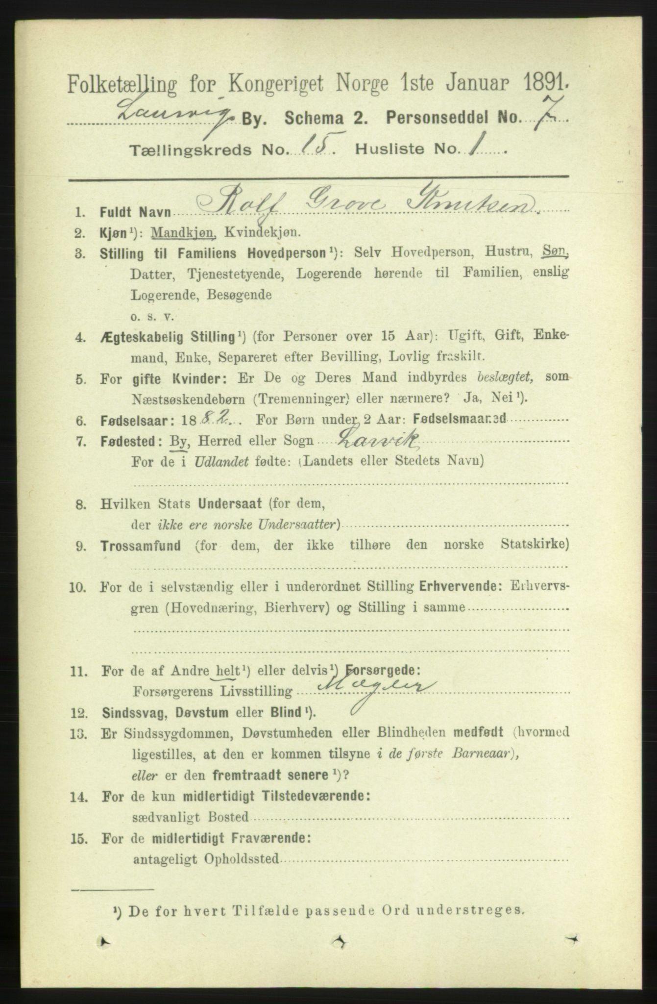 RA, 1891 census for 0707 Larvik, 1891, p. 11335