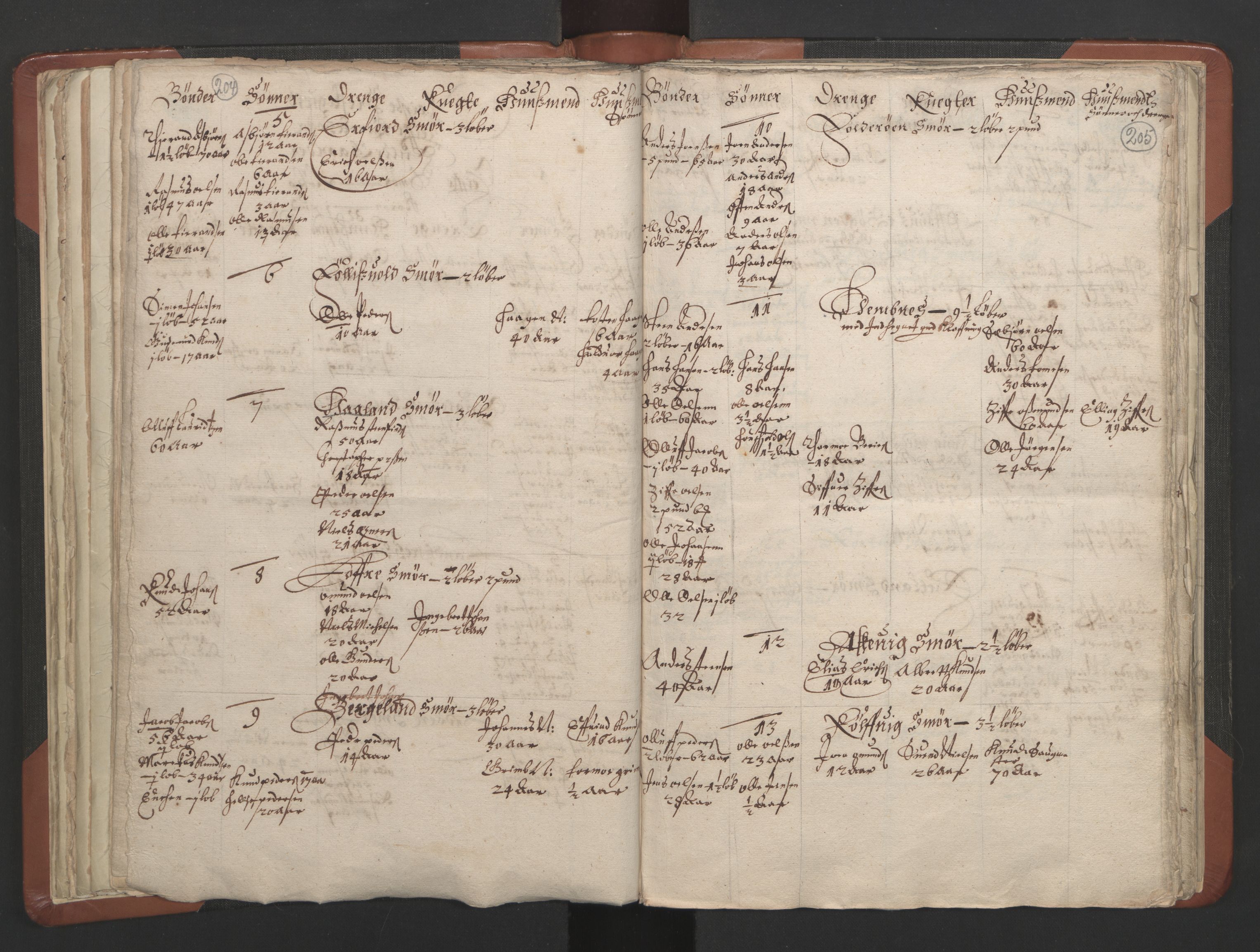 RA, Vicar's Census 1664-1666, no. 19: Ryfylke deanery, 1664-1666, p. 204-205