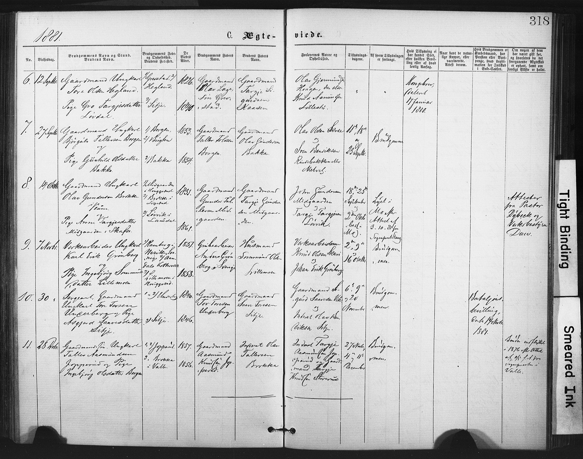 Fyresdal kirkebøker, SAKO/A-263/F/Fa/L0006: Parish register (official) no. I 6, 1872-1886, p. 318