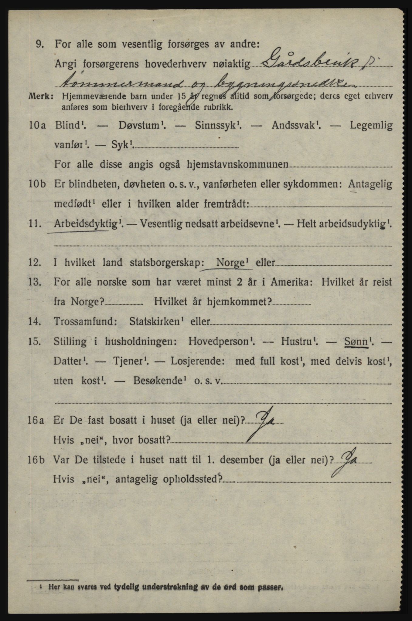 SAO, 1920 census for Skjeberg, 1920, p. 11642