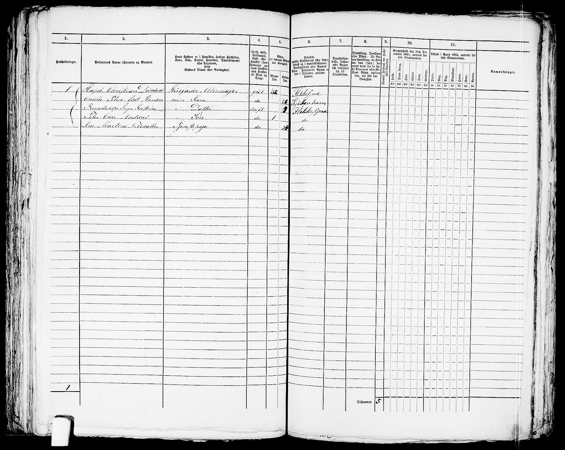 RA, 1865 census for Flekkefjord/Flekkefjord, 1865, p. 219