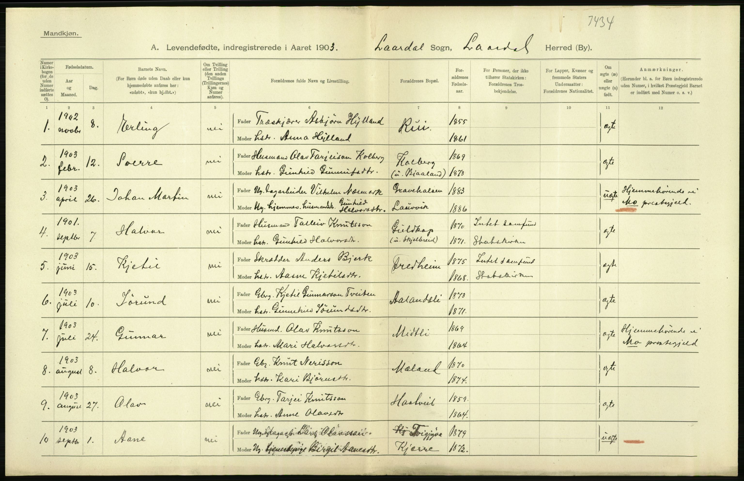 Statistisk sentralbyrå, Sosiodemografiske emner, Befolkning, RA/S-2228/D/Df/Dfa/Dfaa/L0009: Bratsberg amt: Fødte, gifte, døde, 1903, p. 24