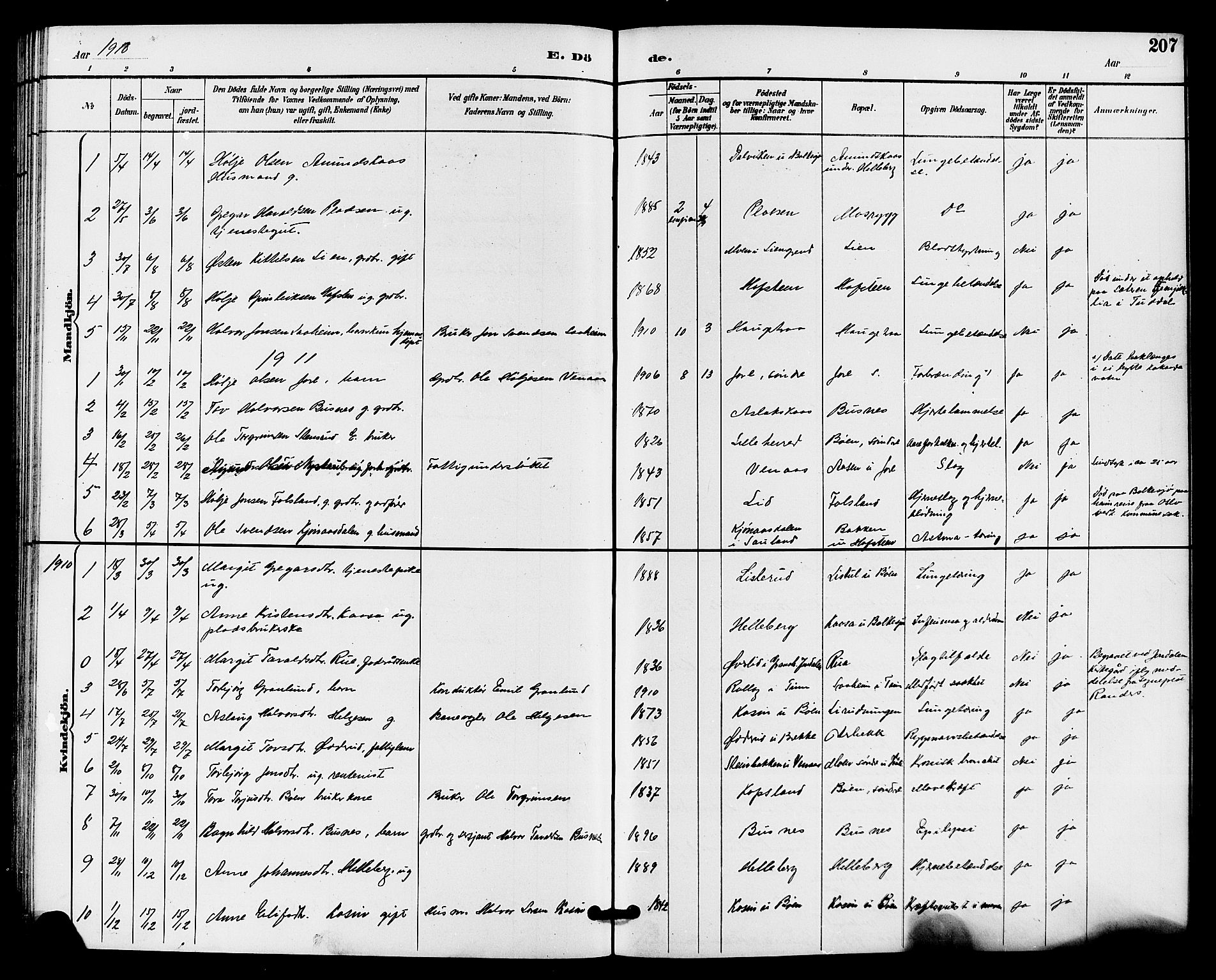 Gransherad kirkebøker, SAKO/A-267/G/Ga/L0003: Parish register (copy) no. I 3, 1887-1915, p. 207