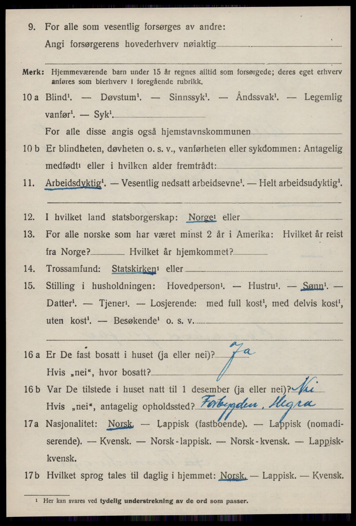 SAT, 1920 census for Selbu, 1920, p. 7441