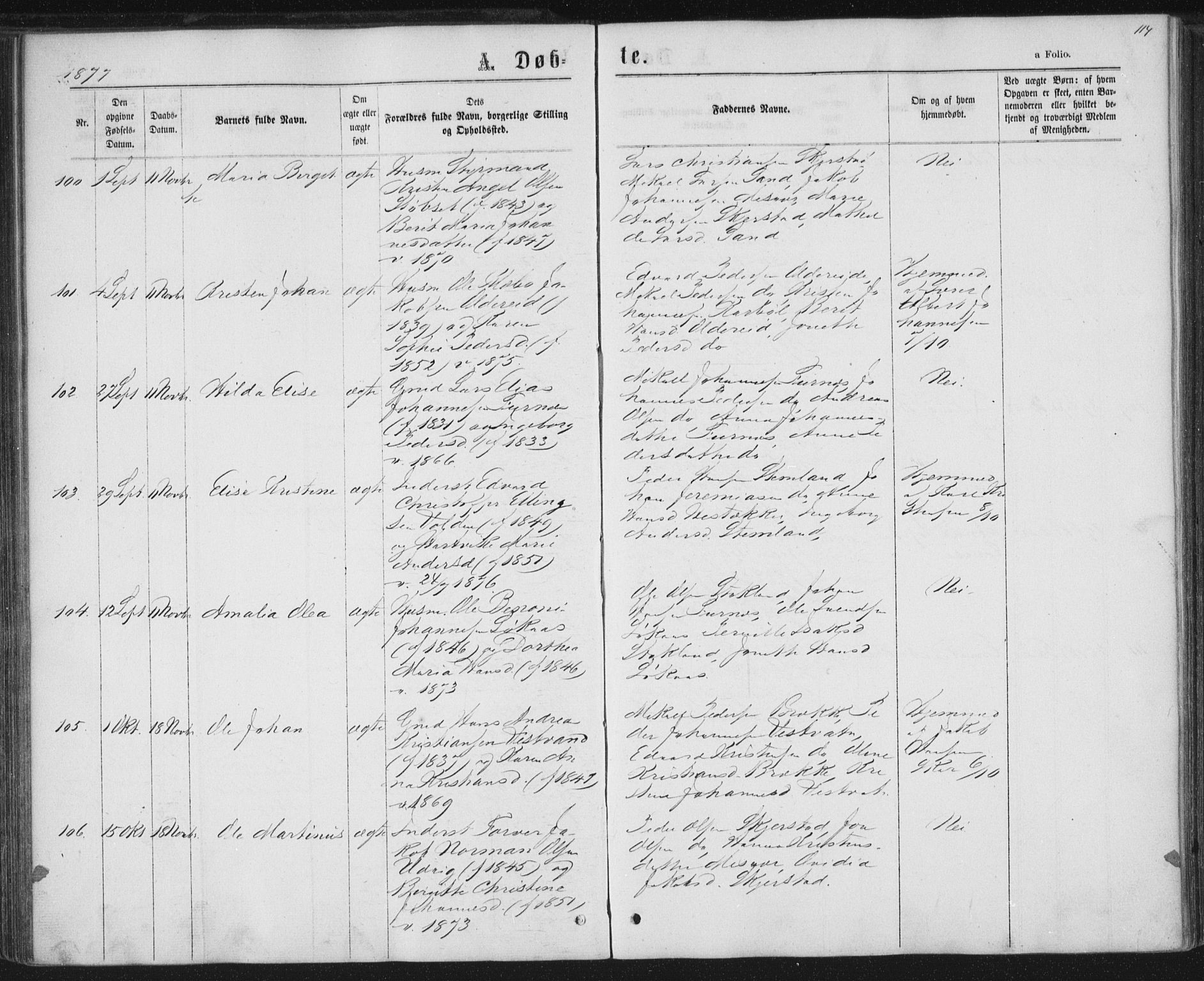 Ministerialprotokoller, klokkerbøker og fødselsregistre - Nordland, AV/SAT-A-1459/852/L0739: Parish register (official) no. 852A09, 1866-1877, p. 114