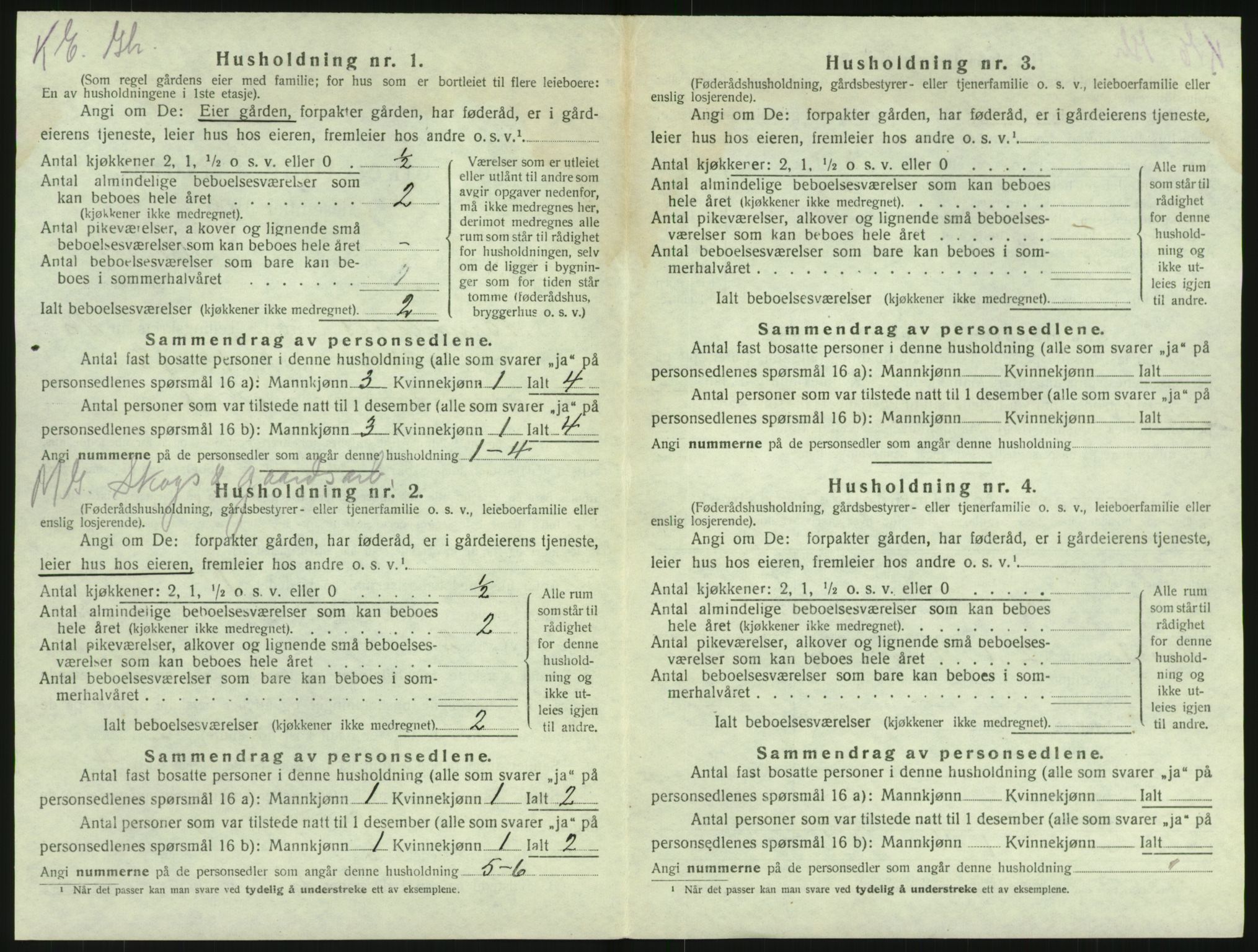 SAKO, 1920 census for Brunlanes, 1920, p. 1786